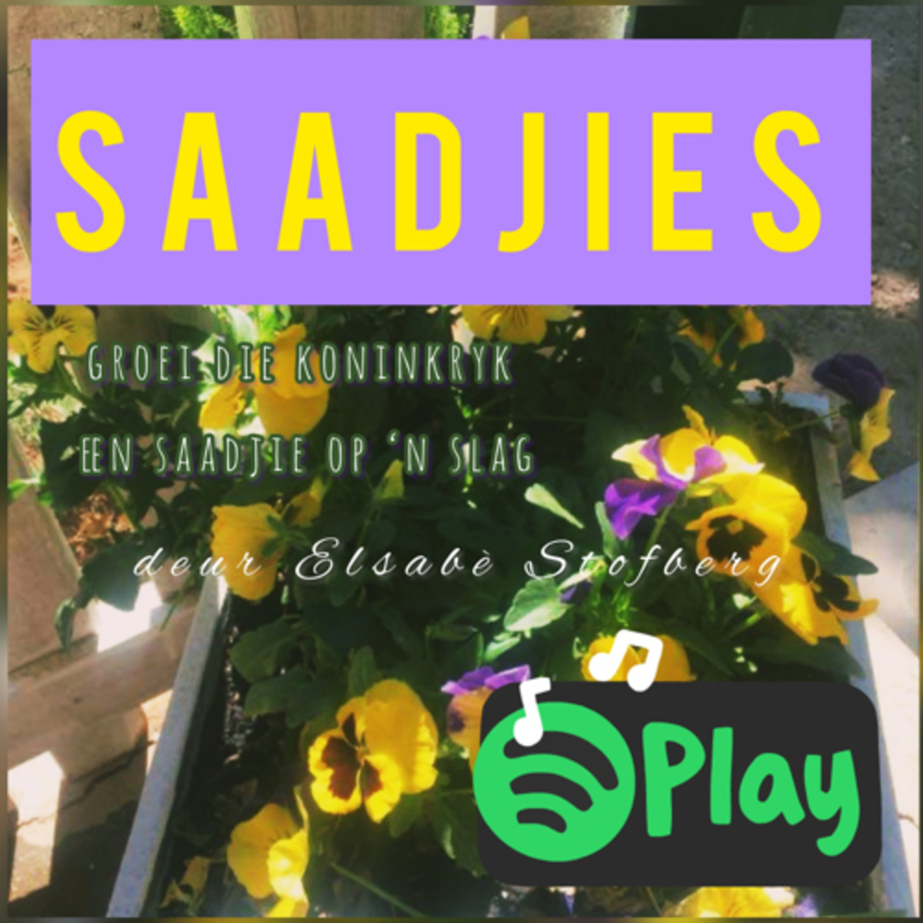 Elsabé Stofberg: Saadjies