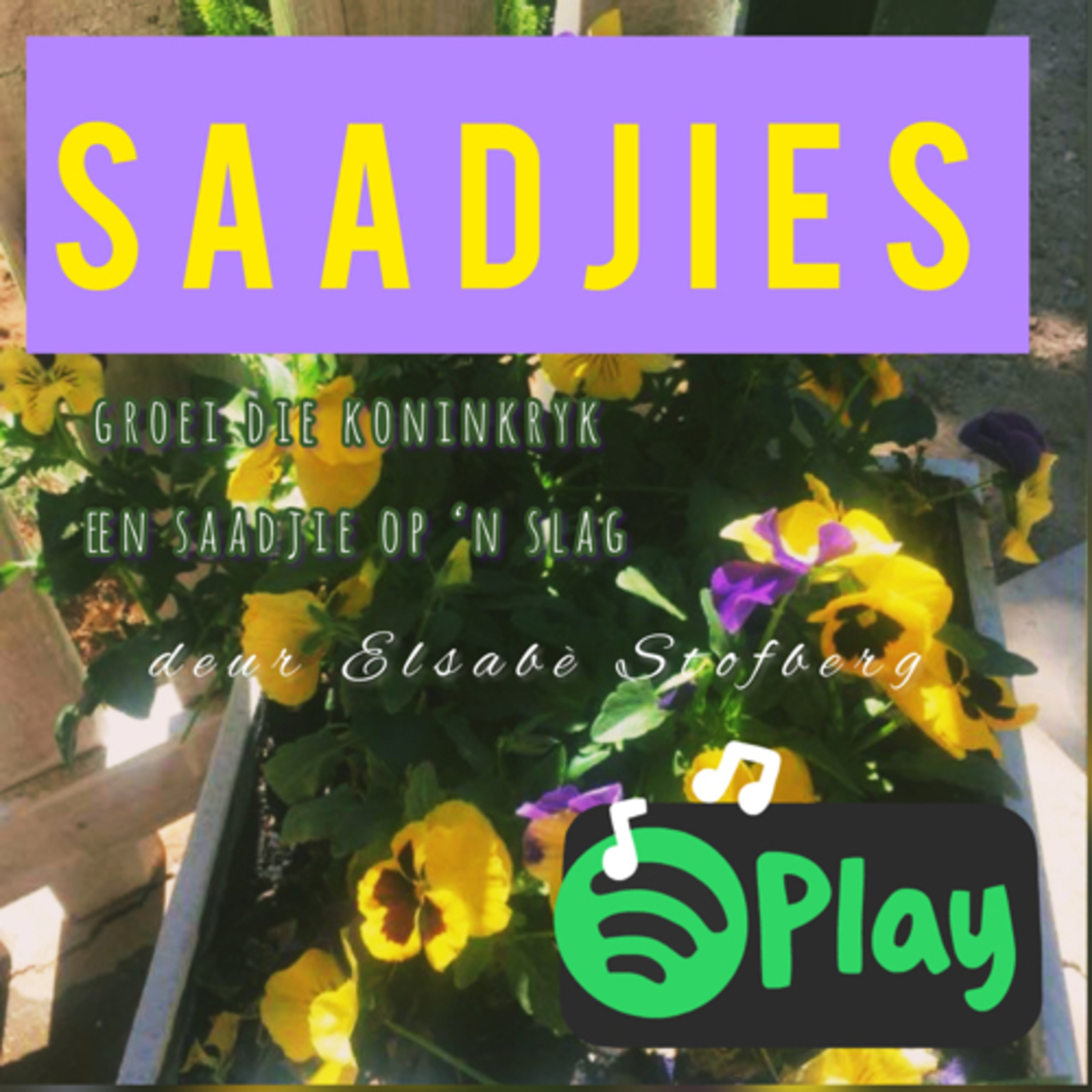Elsabé Stofberg: Saadjies