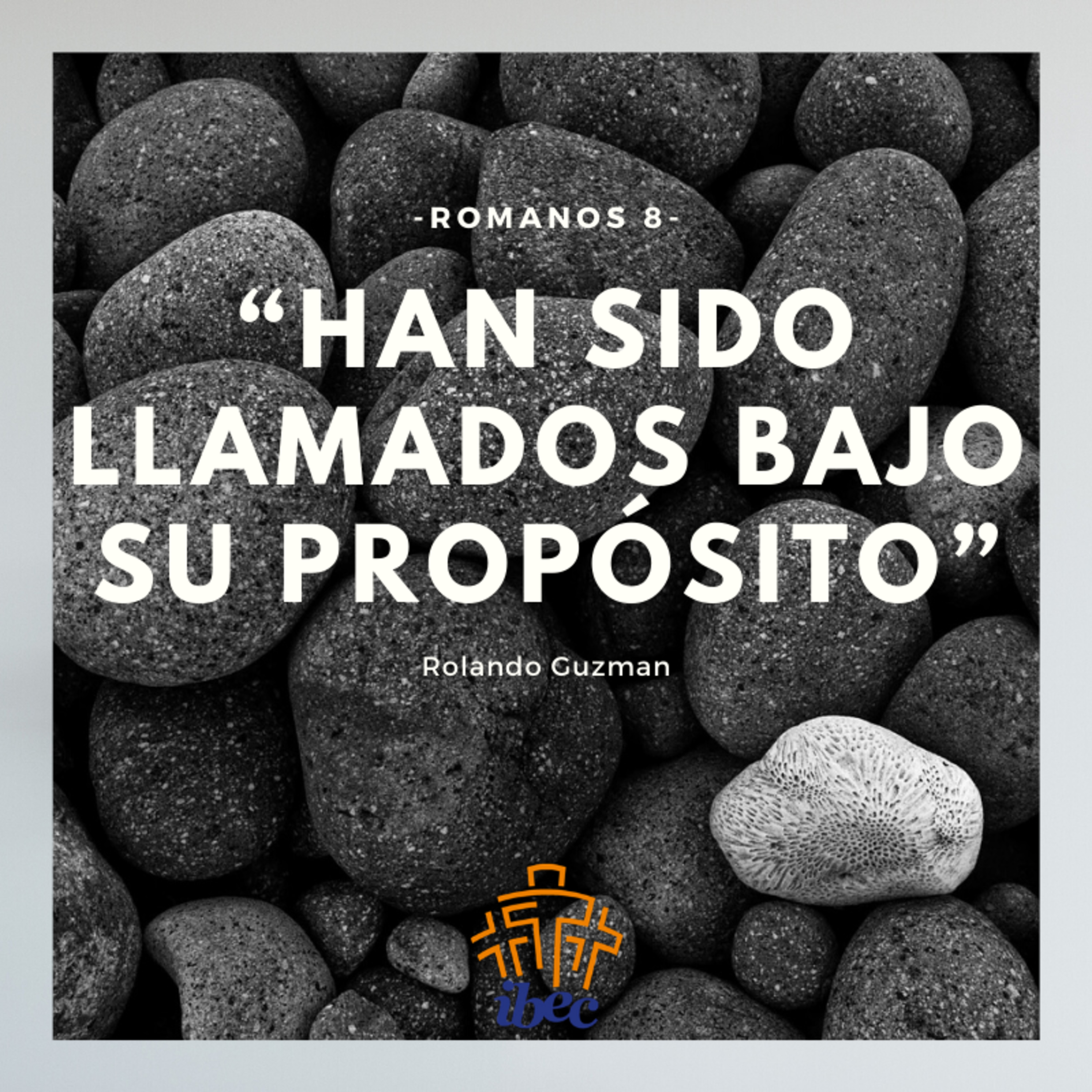 Proyecto IBEC