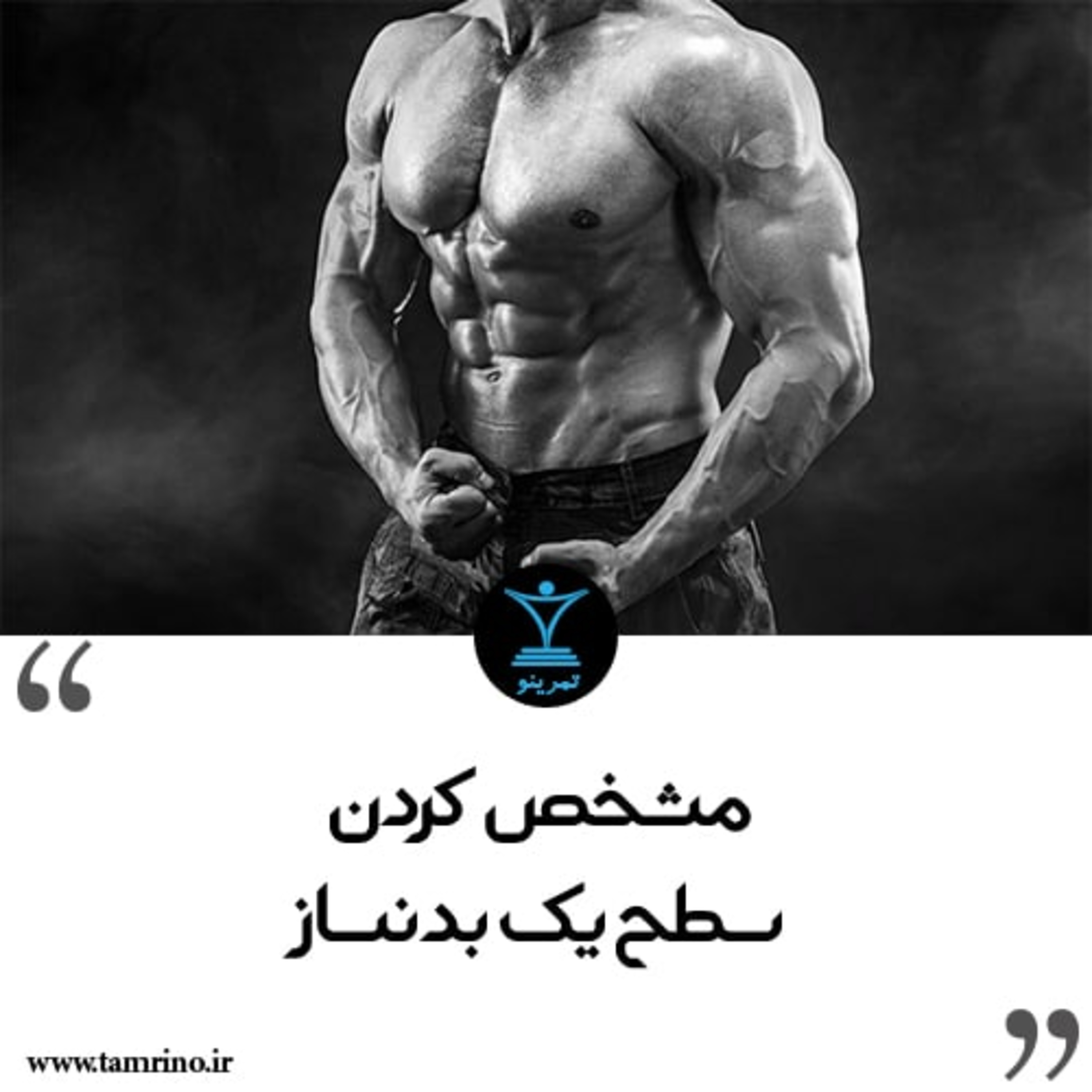 مشخص کردن سطح یک بدنساز episode artwork