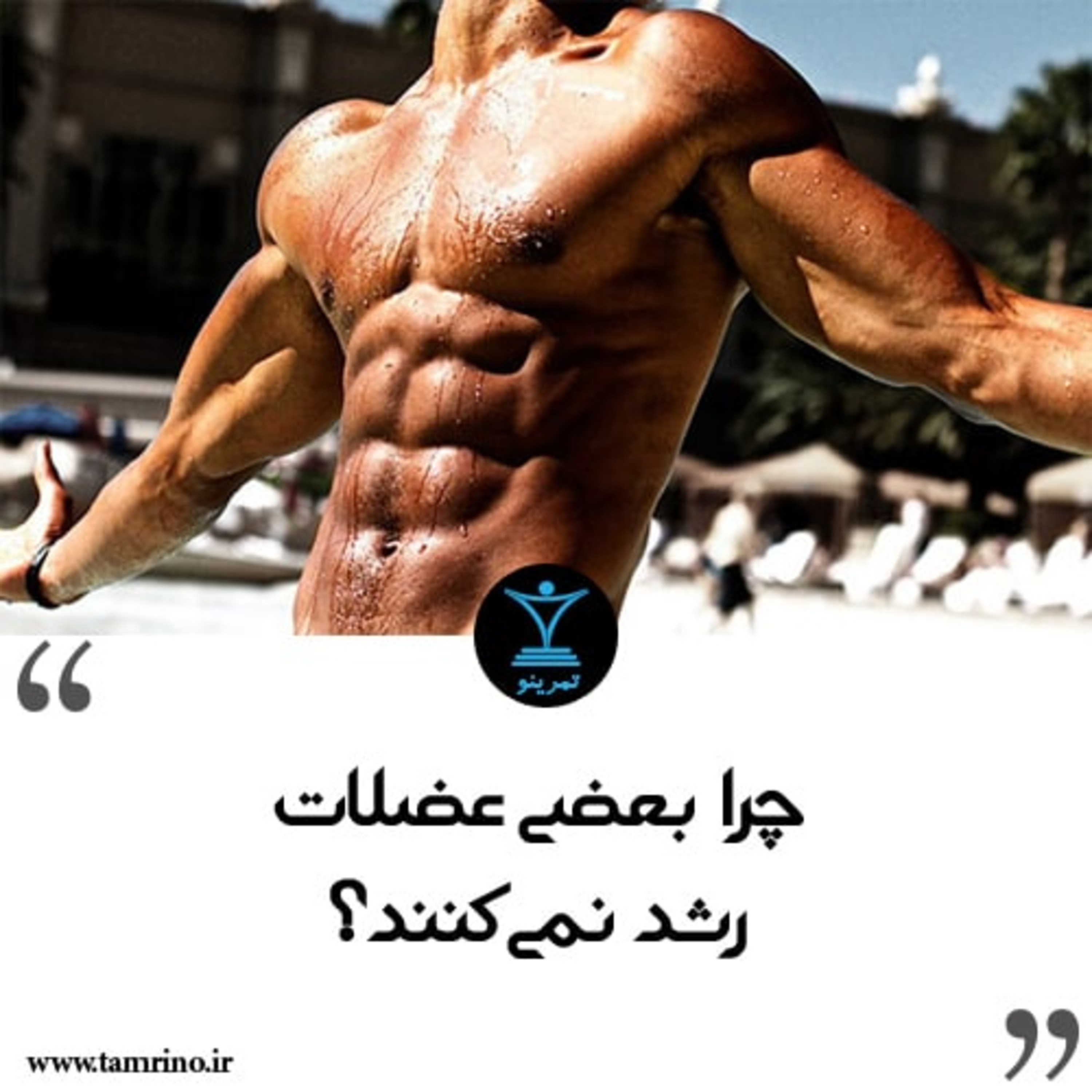 چرا بعضی عضلات رشد نمی کنند؟ episode artwork
