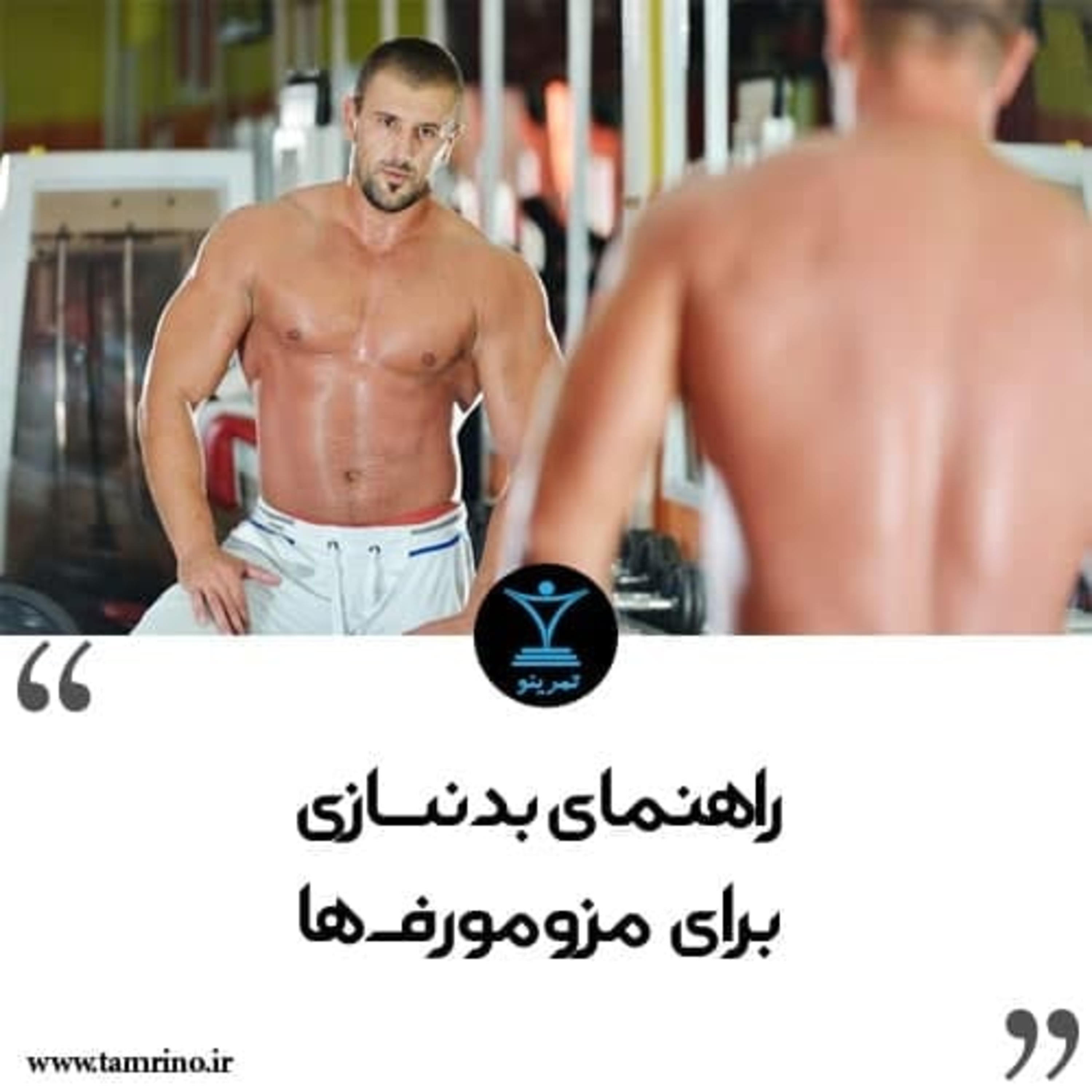 راهنمای بدنسازی برای مزومورف ها episode artwork
