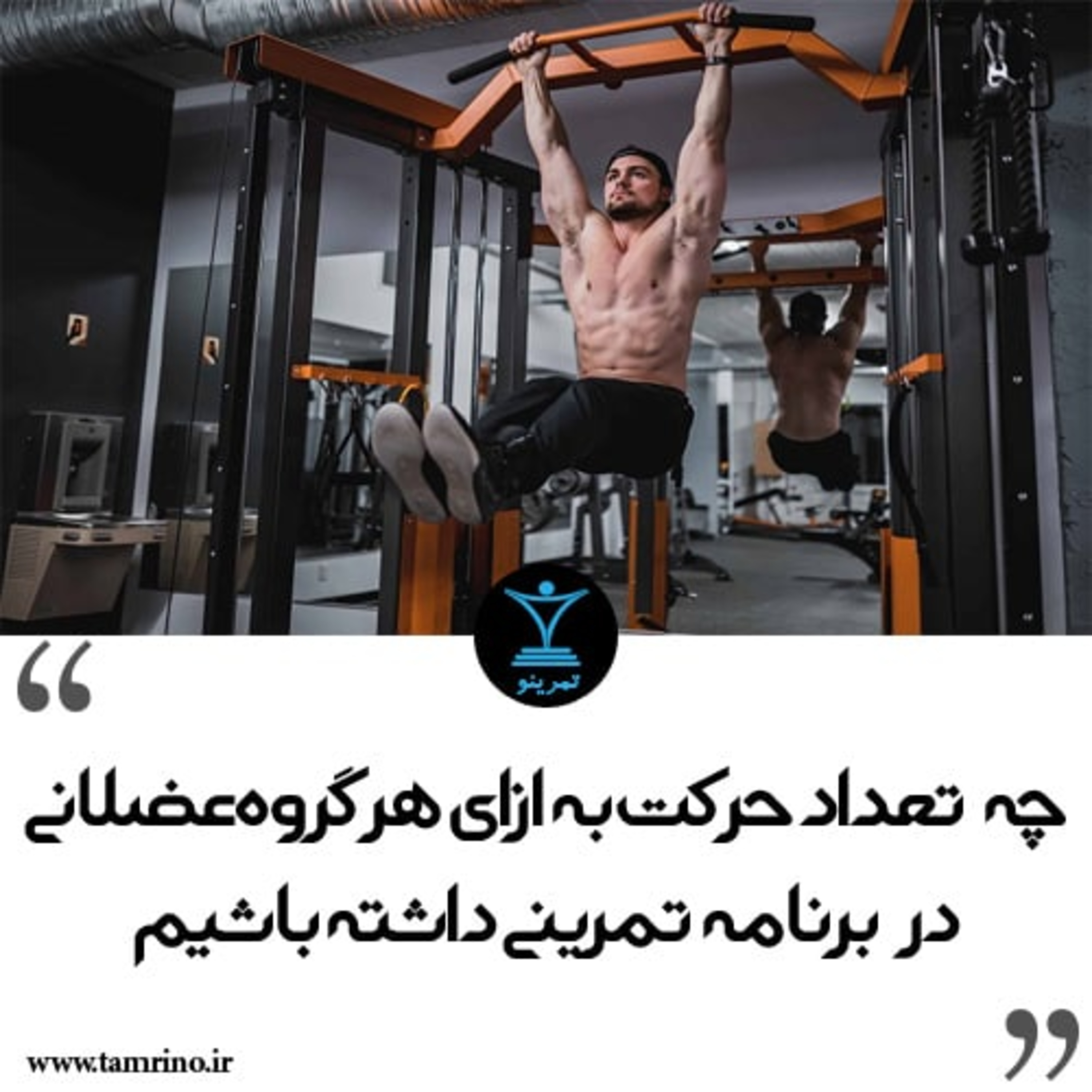 چه تعداد حرکت به ازای هر گروه عضلانی در برنامه تمرینی داشته باشیم episode artwork