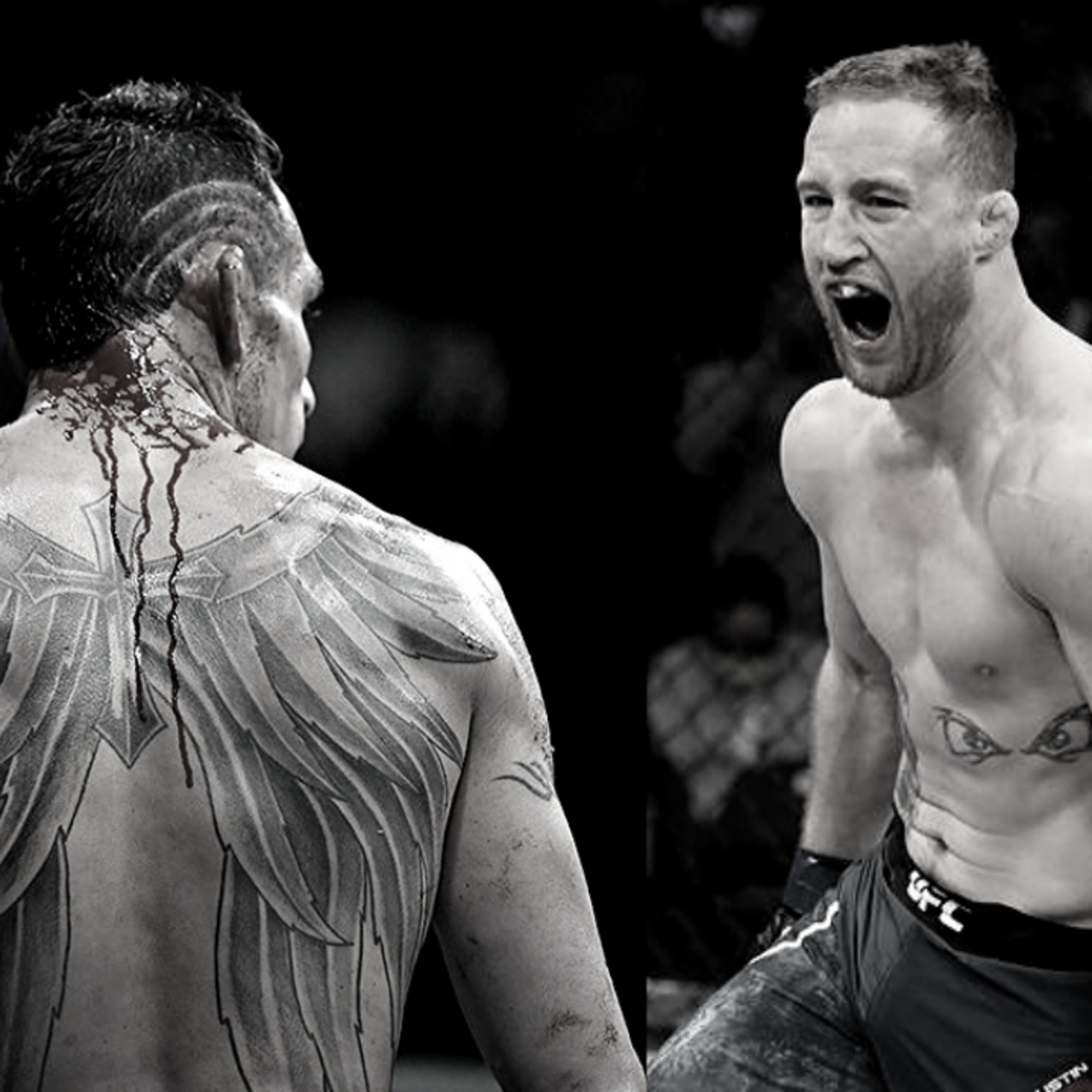 The Fight Dialogue