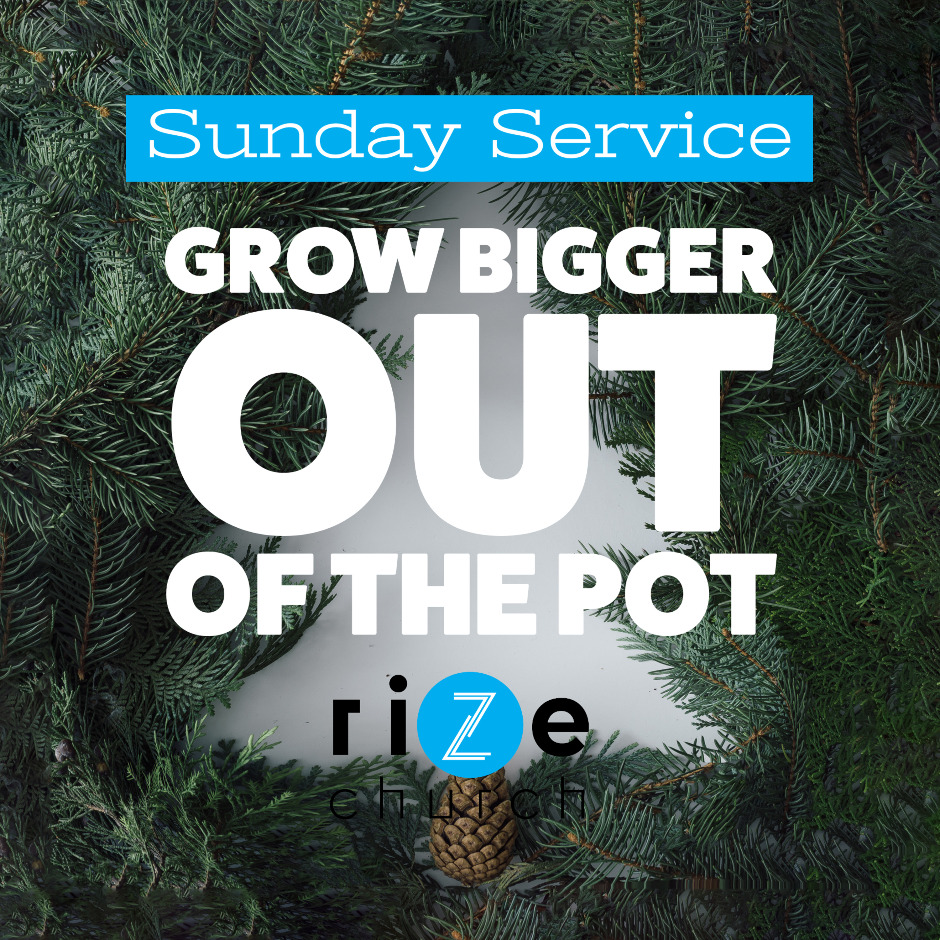 Grow bigger out of the pot  episode artwork
