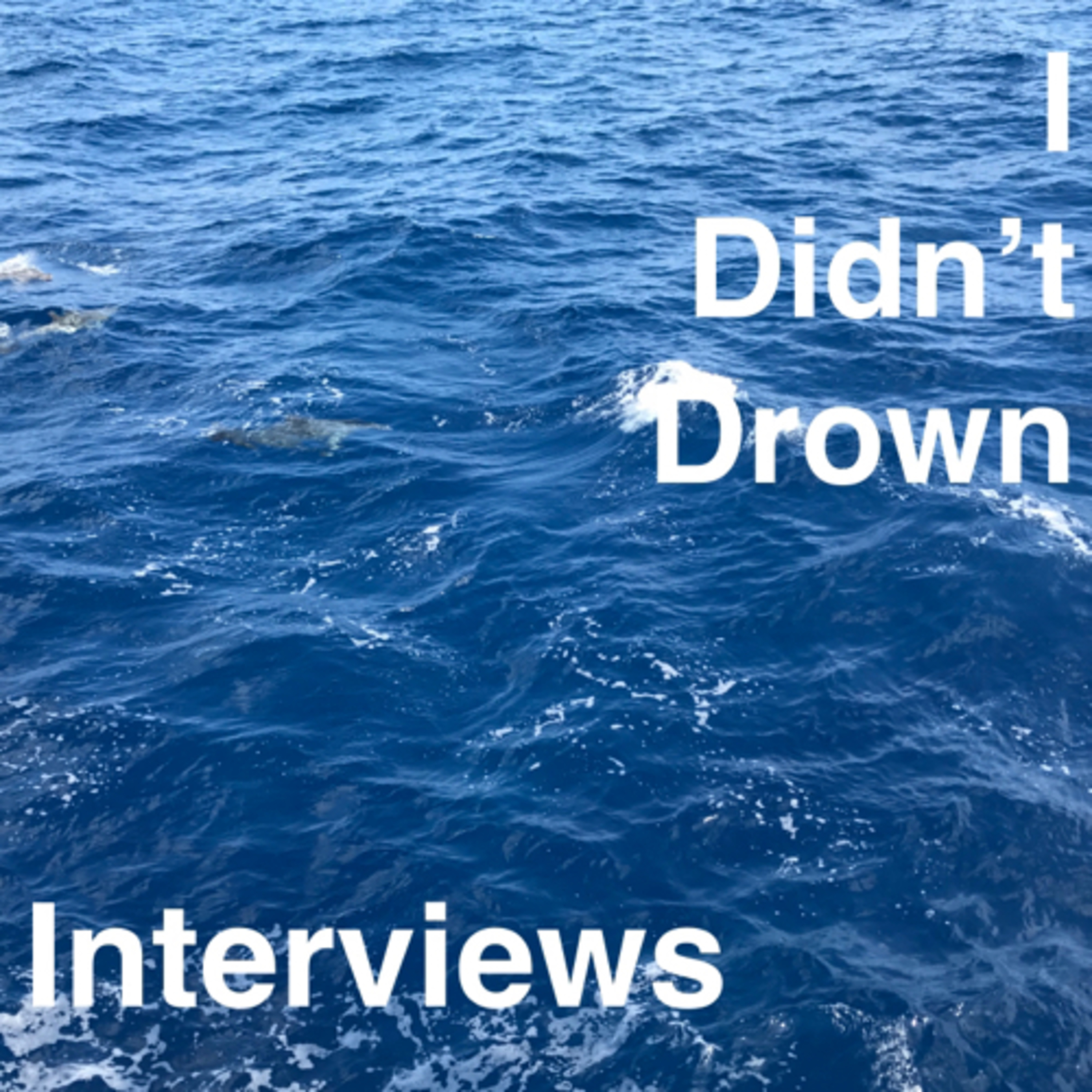 Jobs interview episode artwork