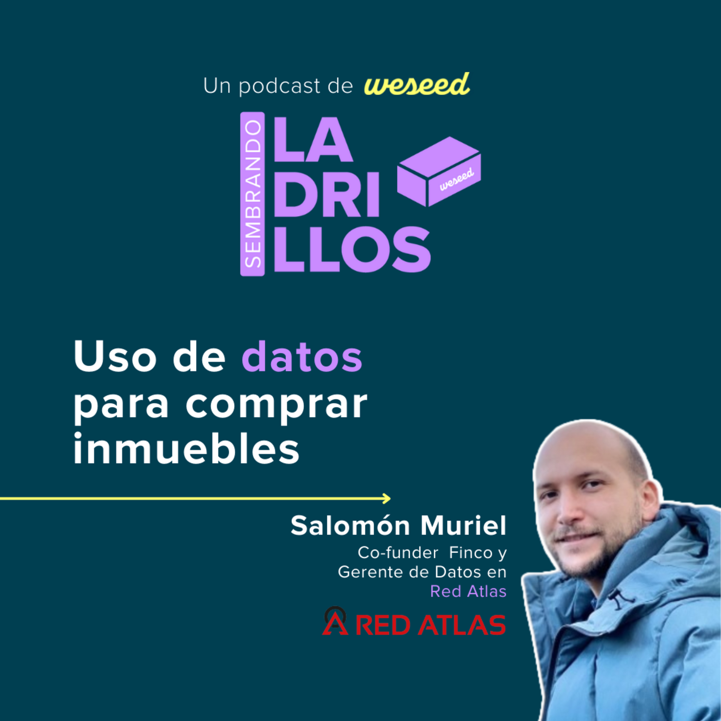 Sembrando Ladrillos