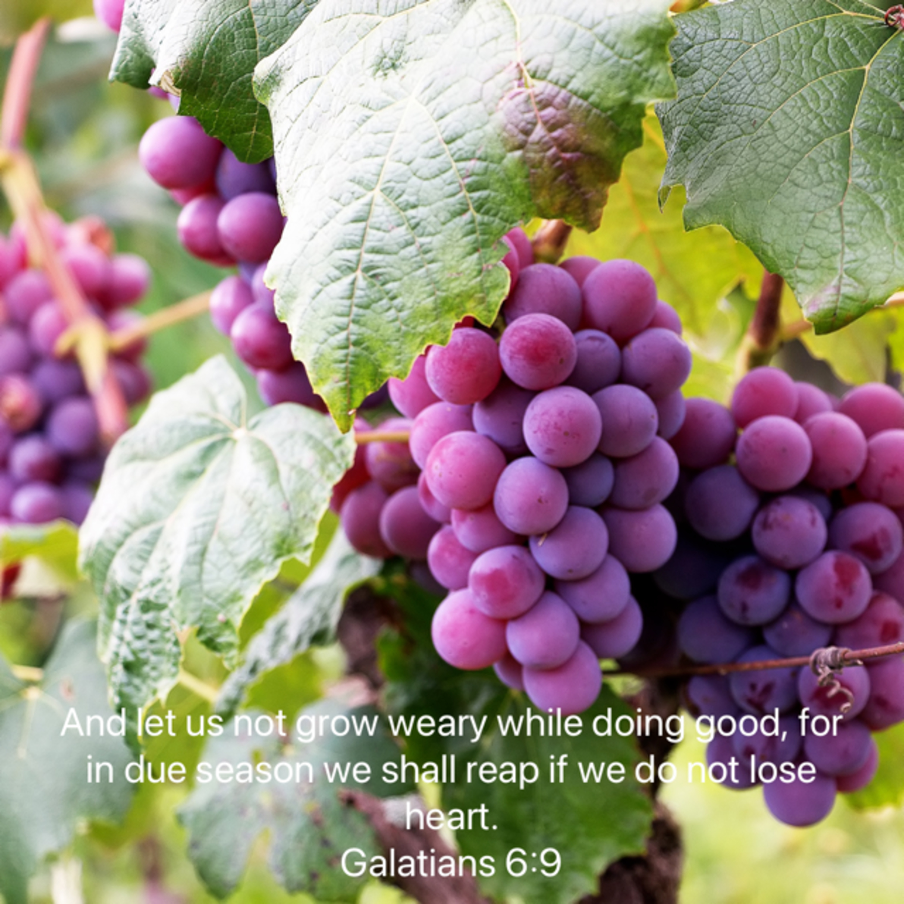 Living the Abundant Life