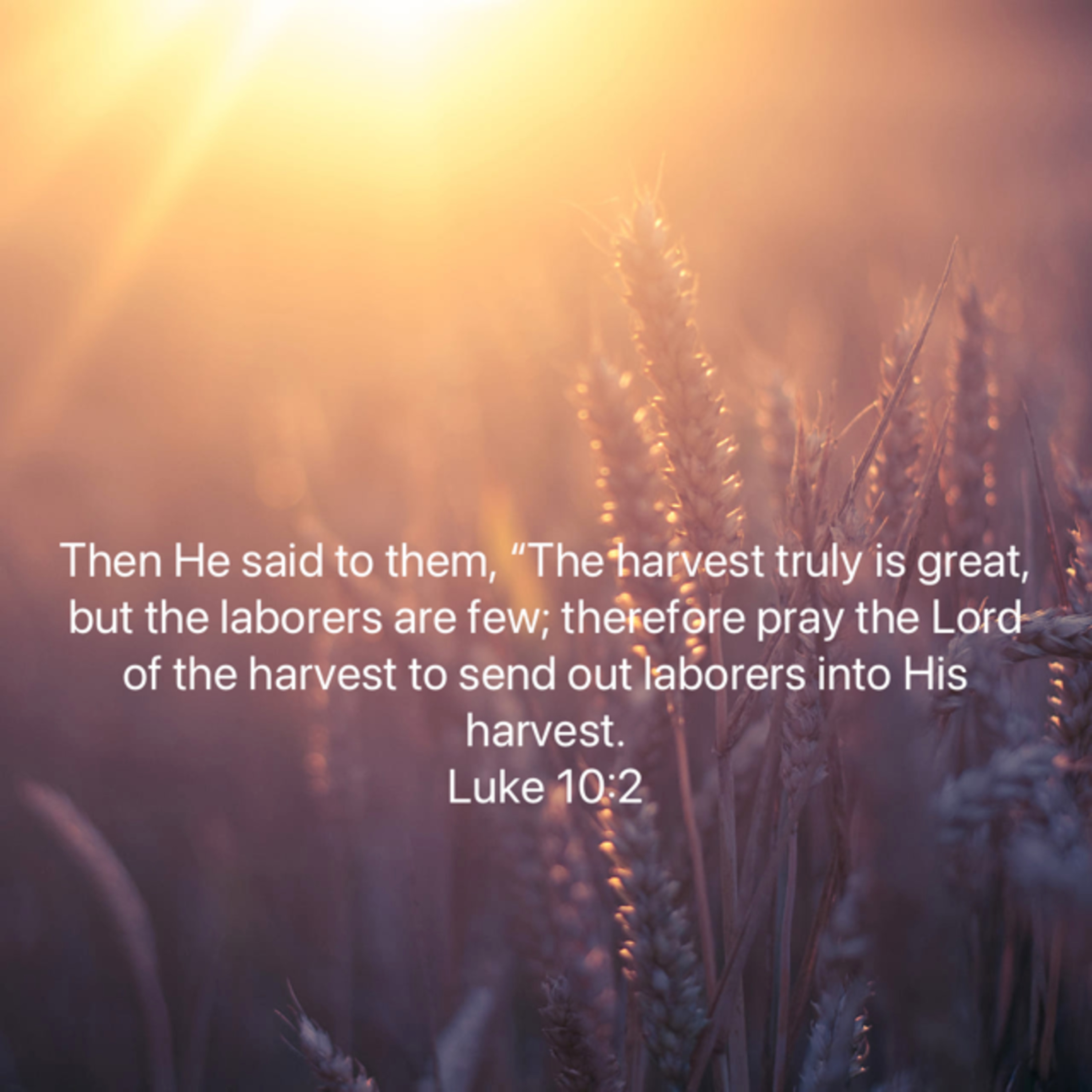 Living the Abundant Life