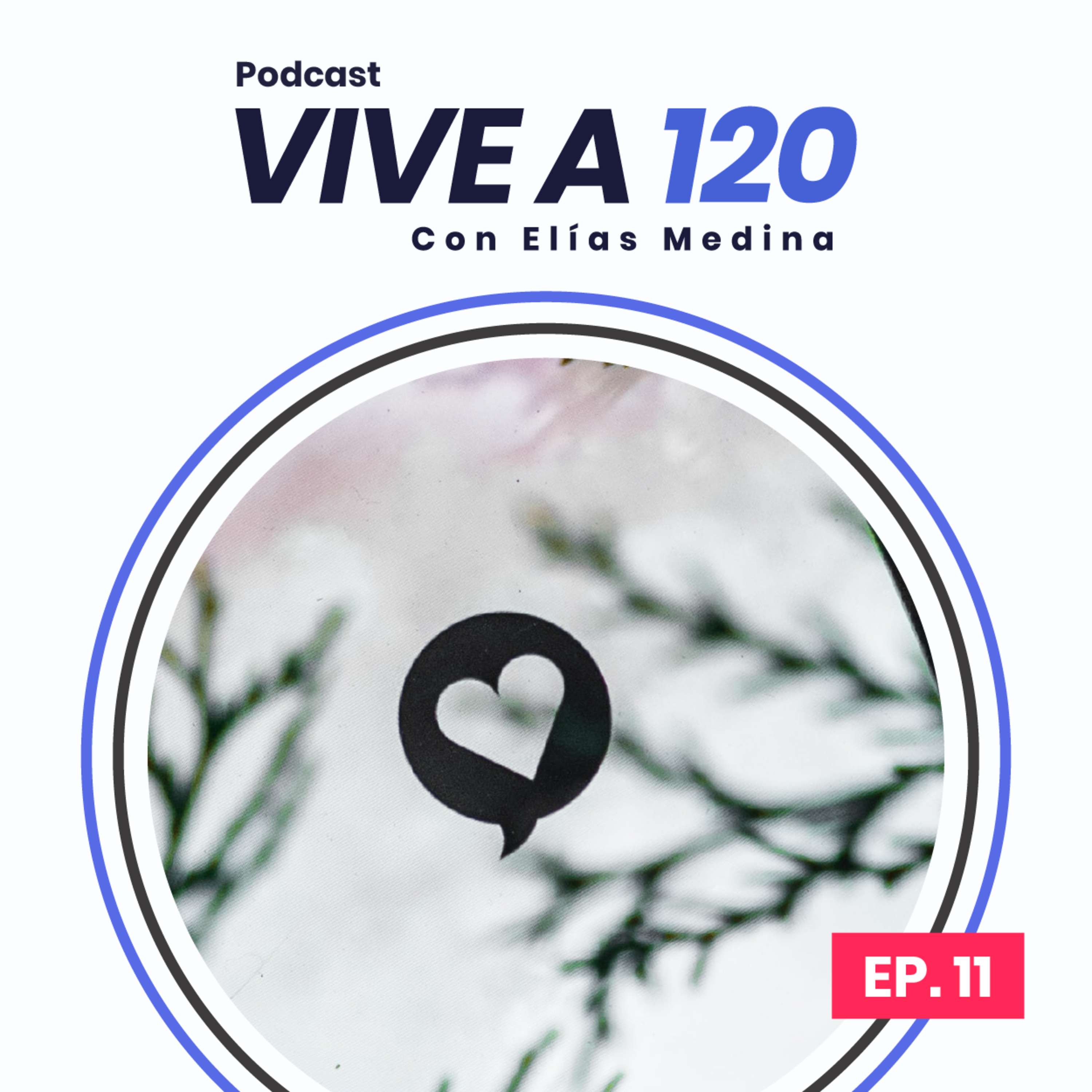 Vive A 120