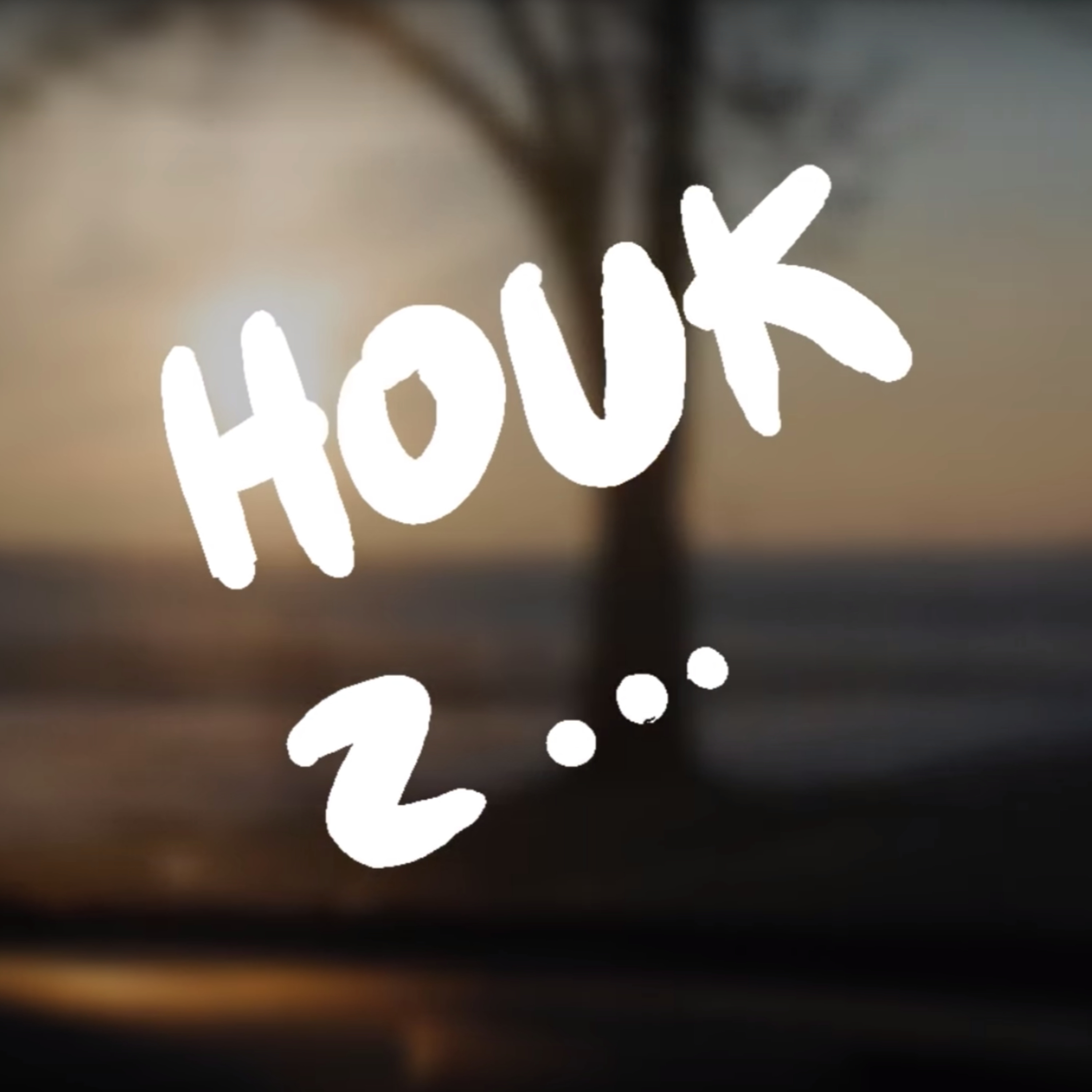 HOUK Z... // o. Tomasz Nowak OP