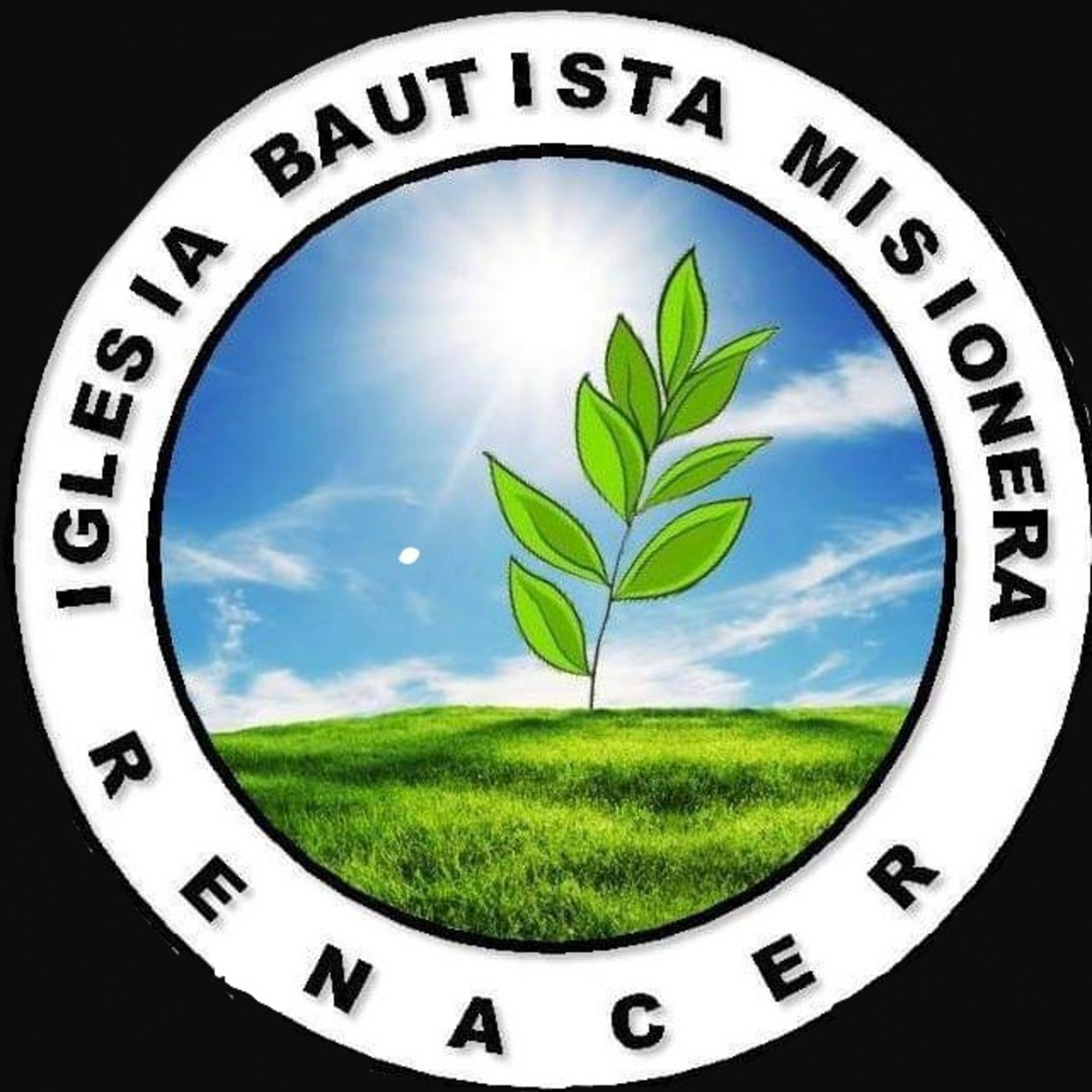 IBM Renacer