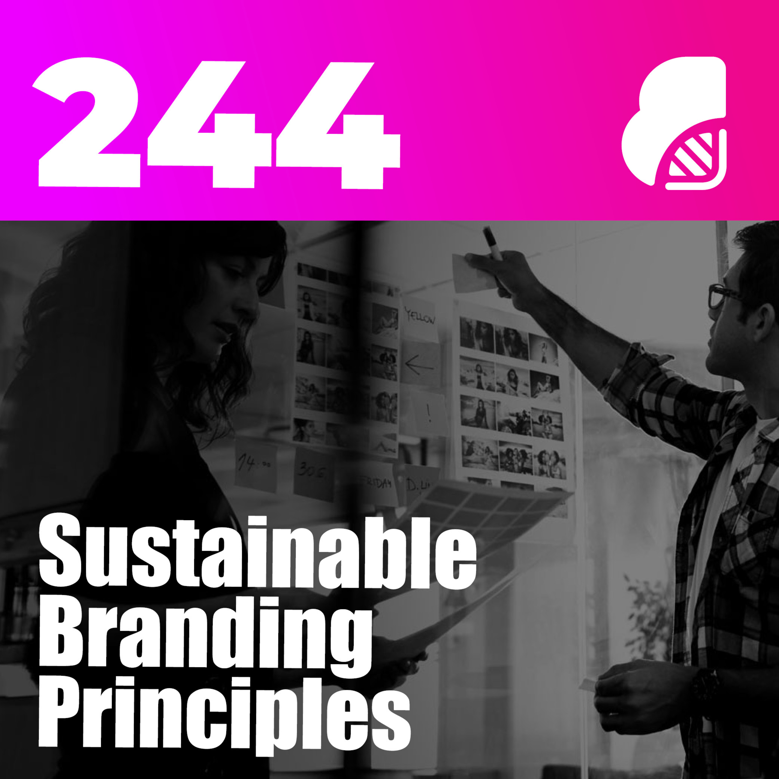 244 | Sustainable Branding Principles & Process (7 Brand Strategy Examples)