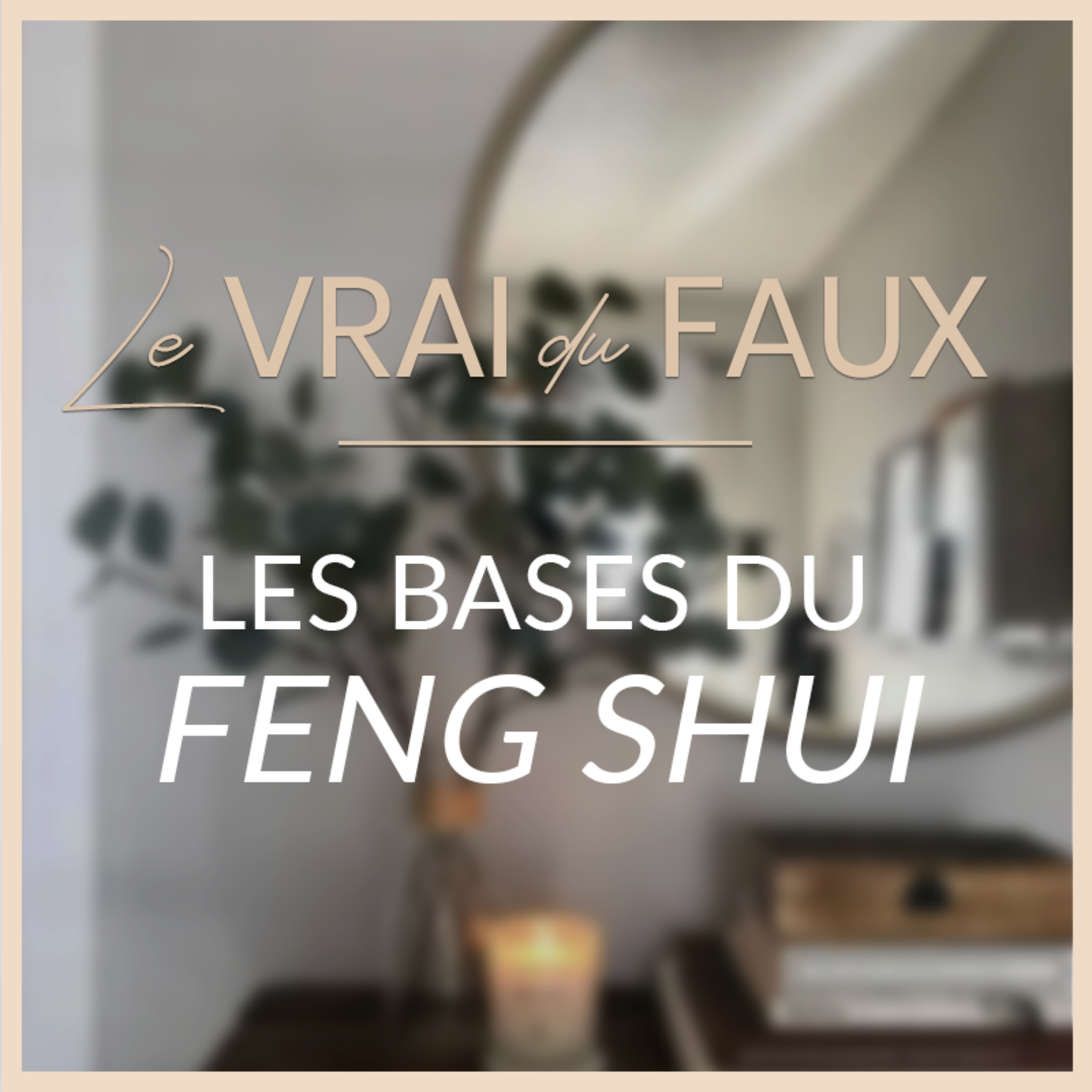 Le Vrai du Faux