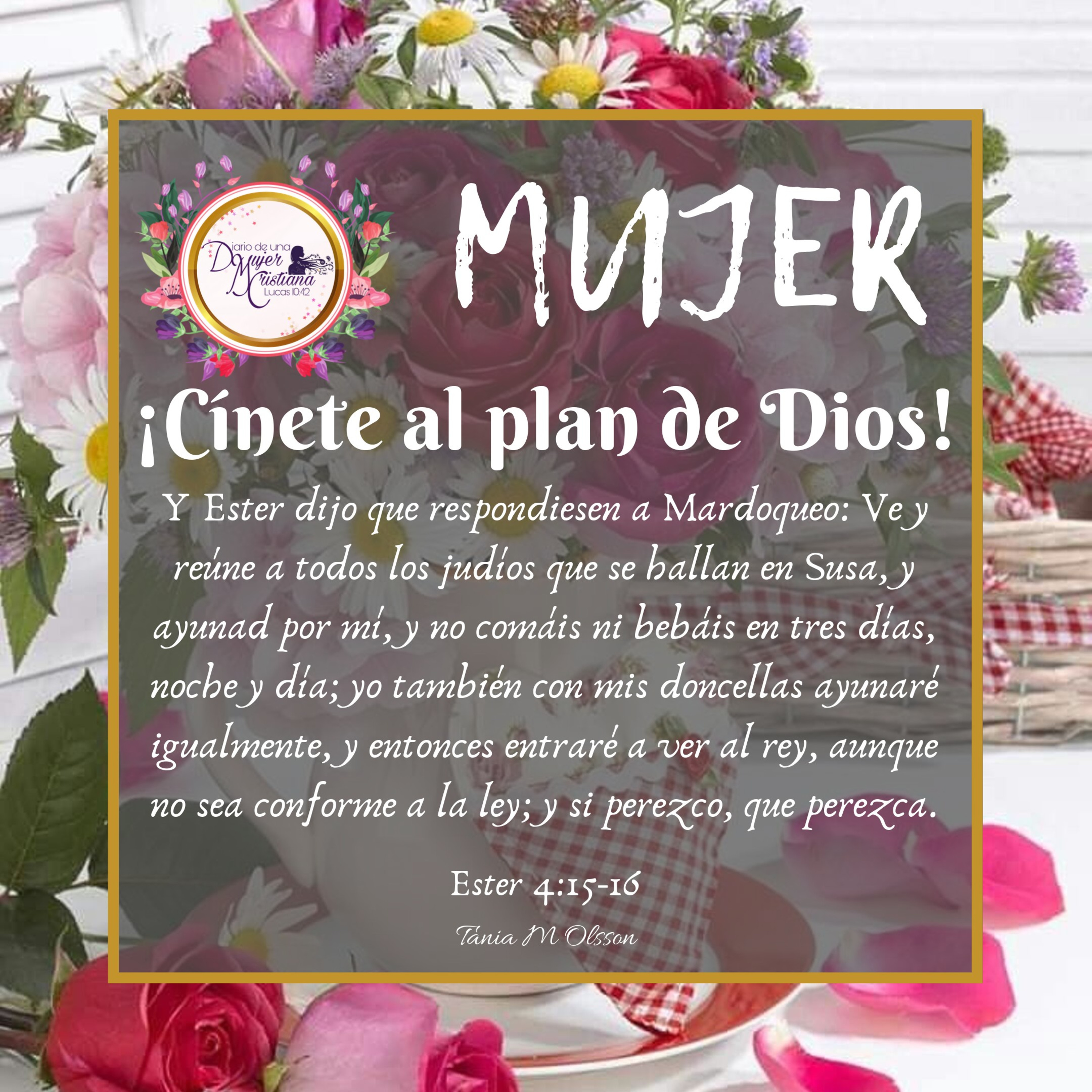 Portada de Diario De Una Mujer Cristiana