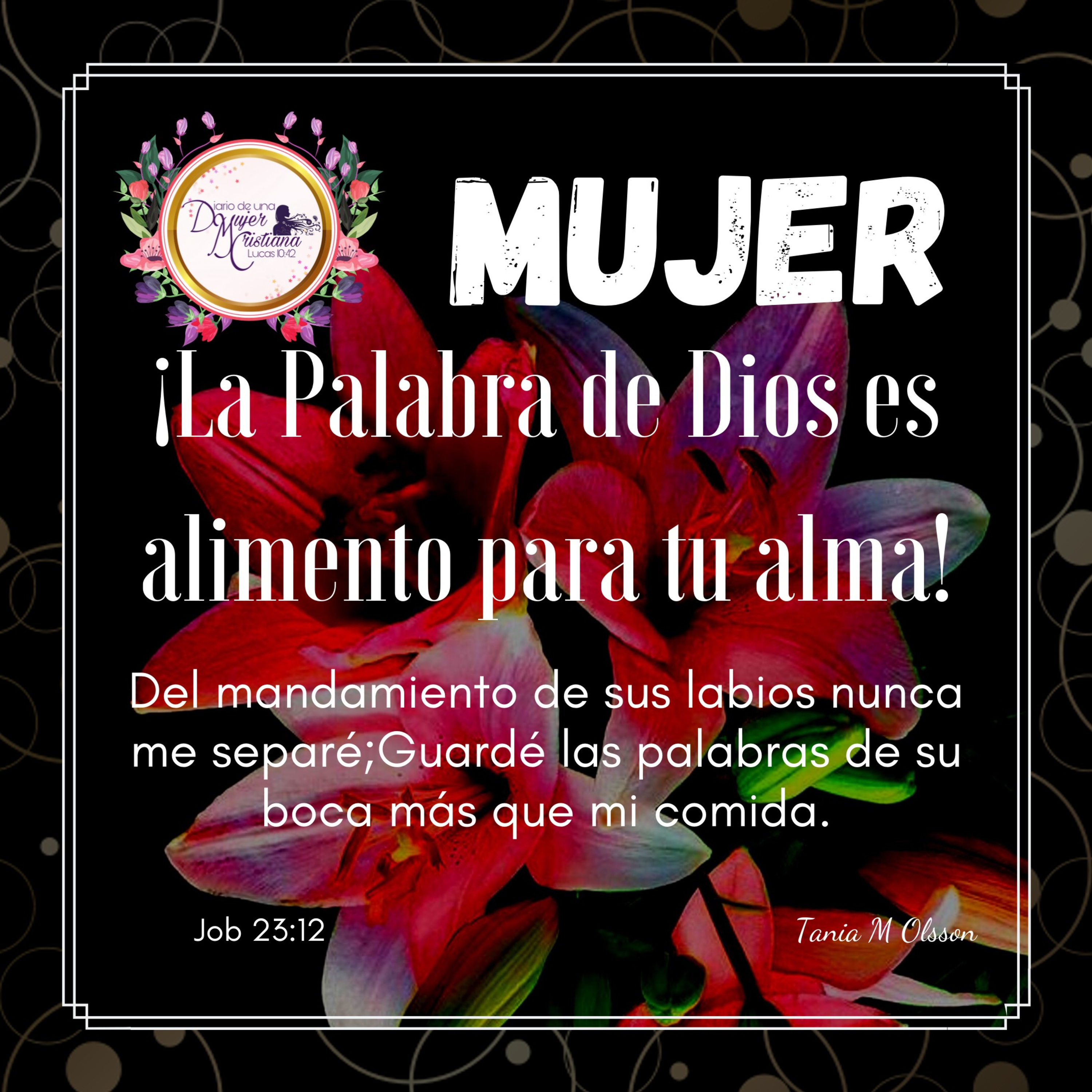 Portada de Diario De Una Mujer Cristiana
