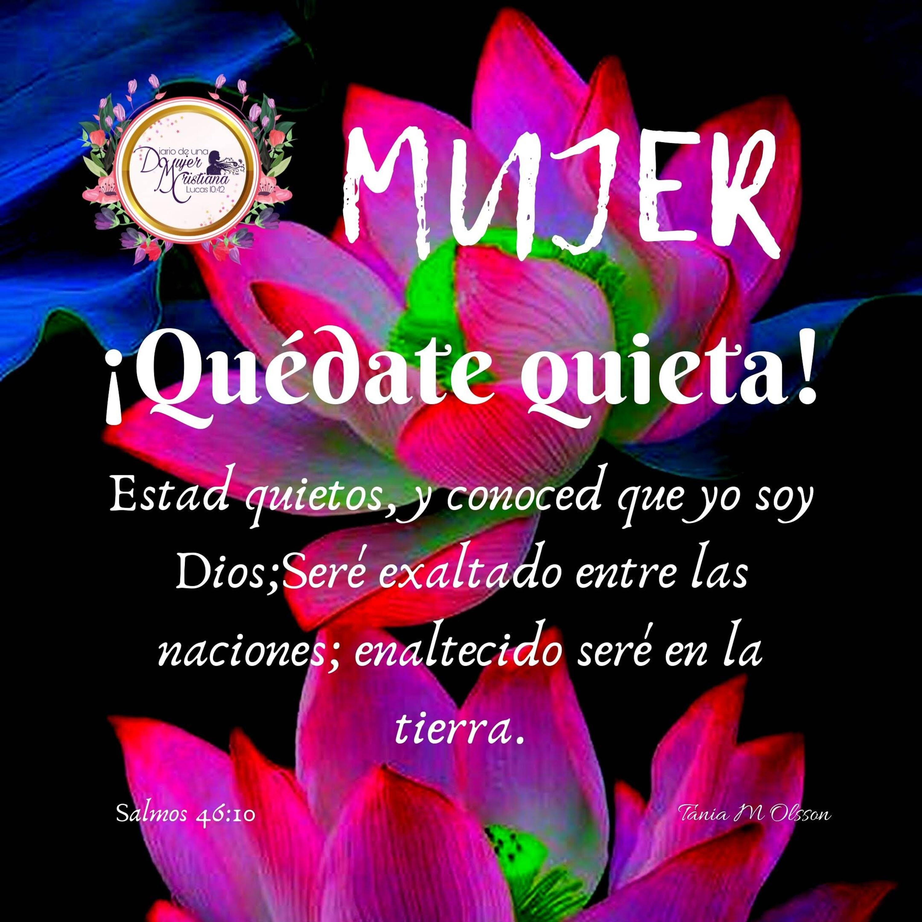 Portada de Diario De Una Mujer Cristiana