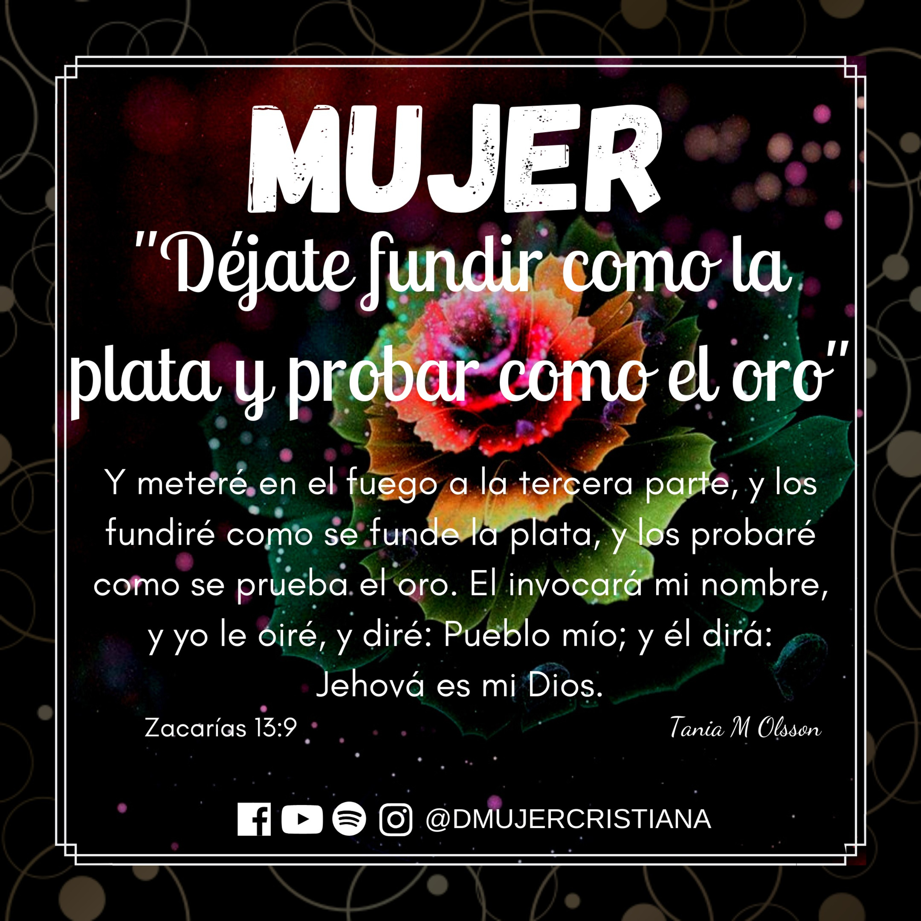 Portada de Diario De Una Mujer Cristiana
