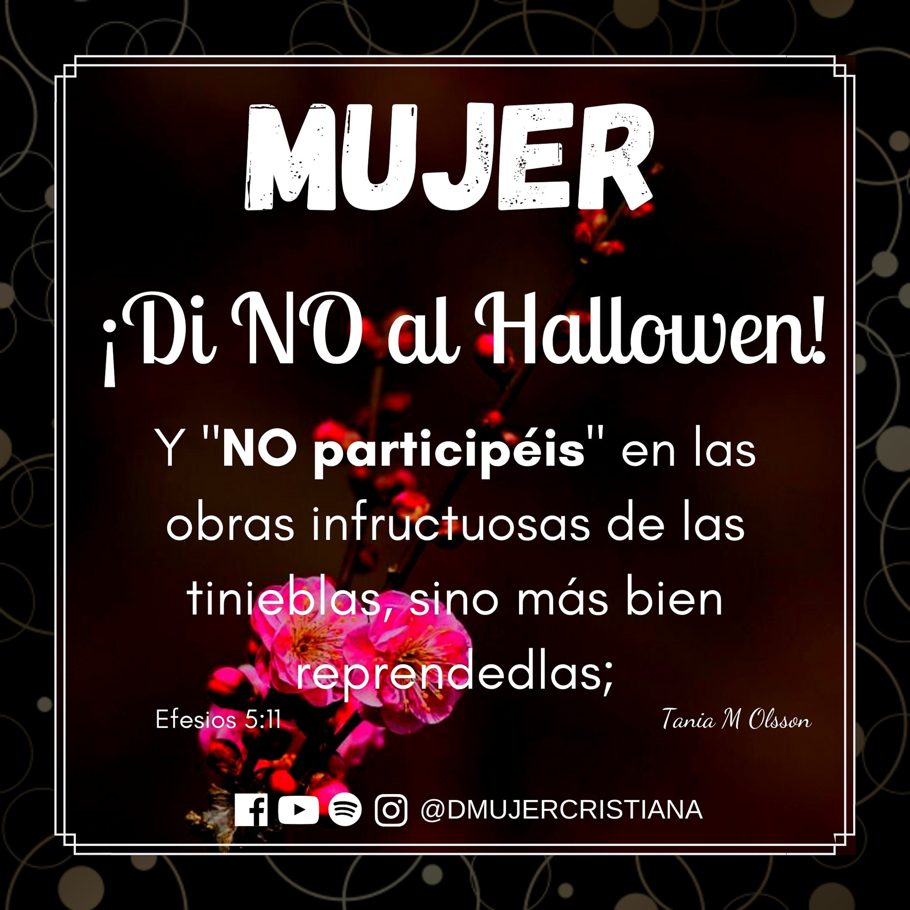 Portada de Diario De Una Mujer Cristiana