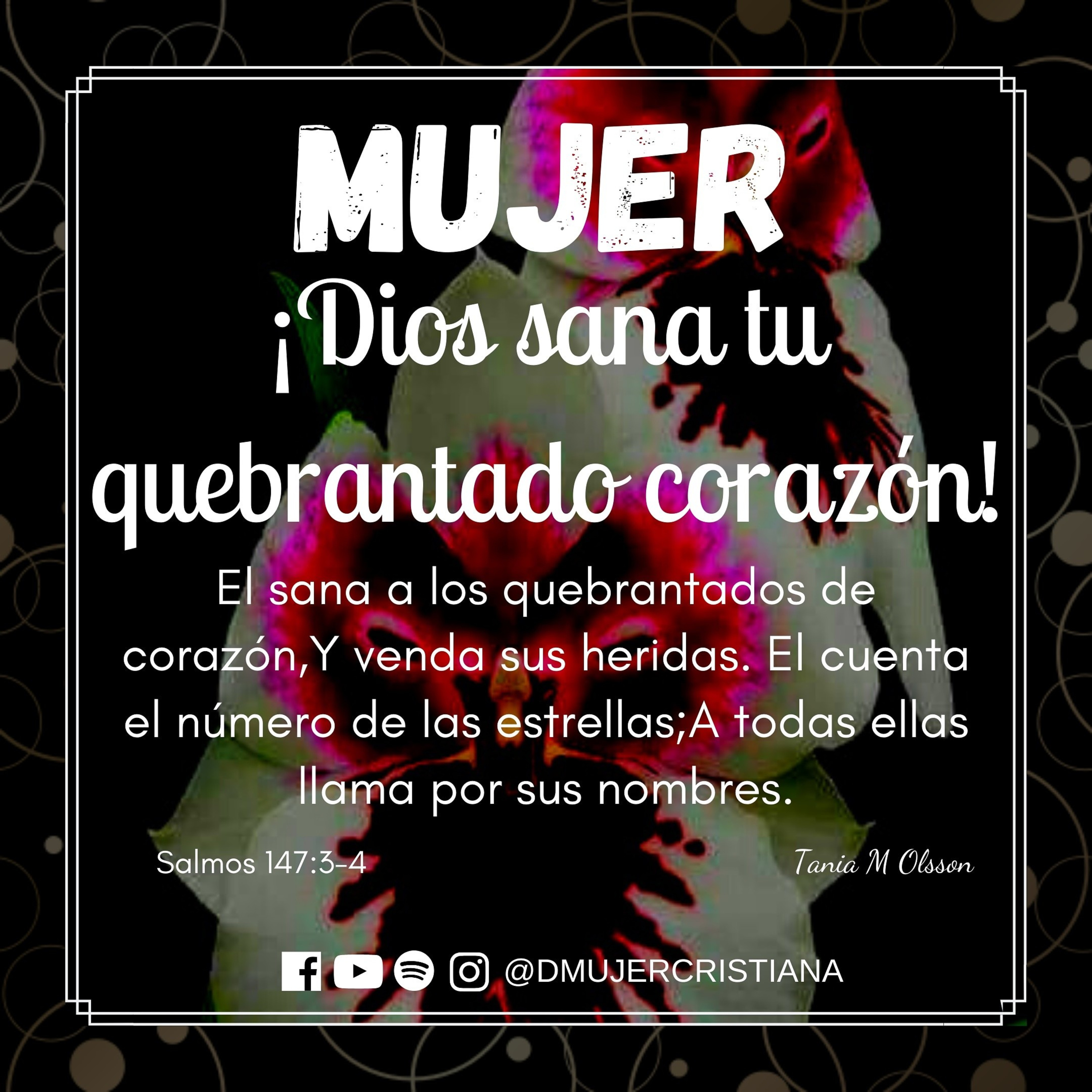 Portada de Diario De Una Mujer Cristiana