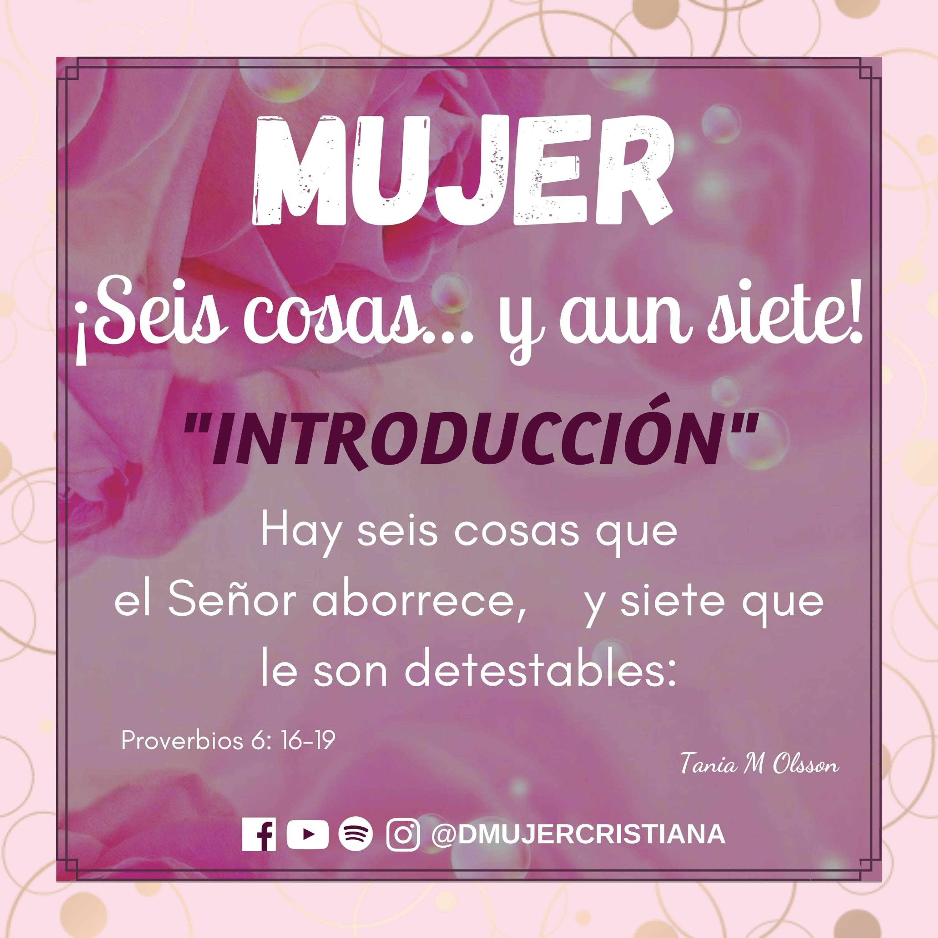 Portada de Diario De Una Mujer Cristiana