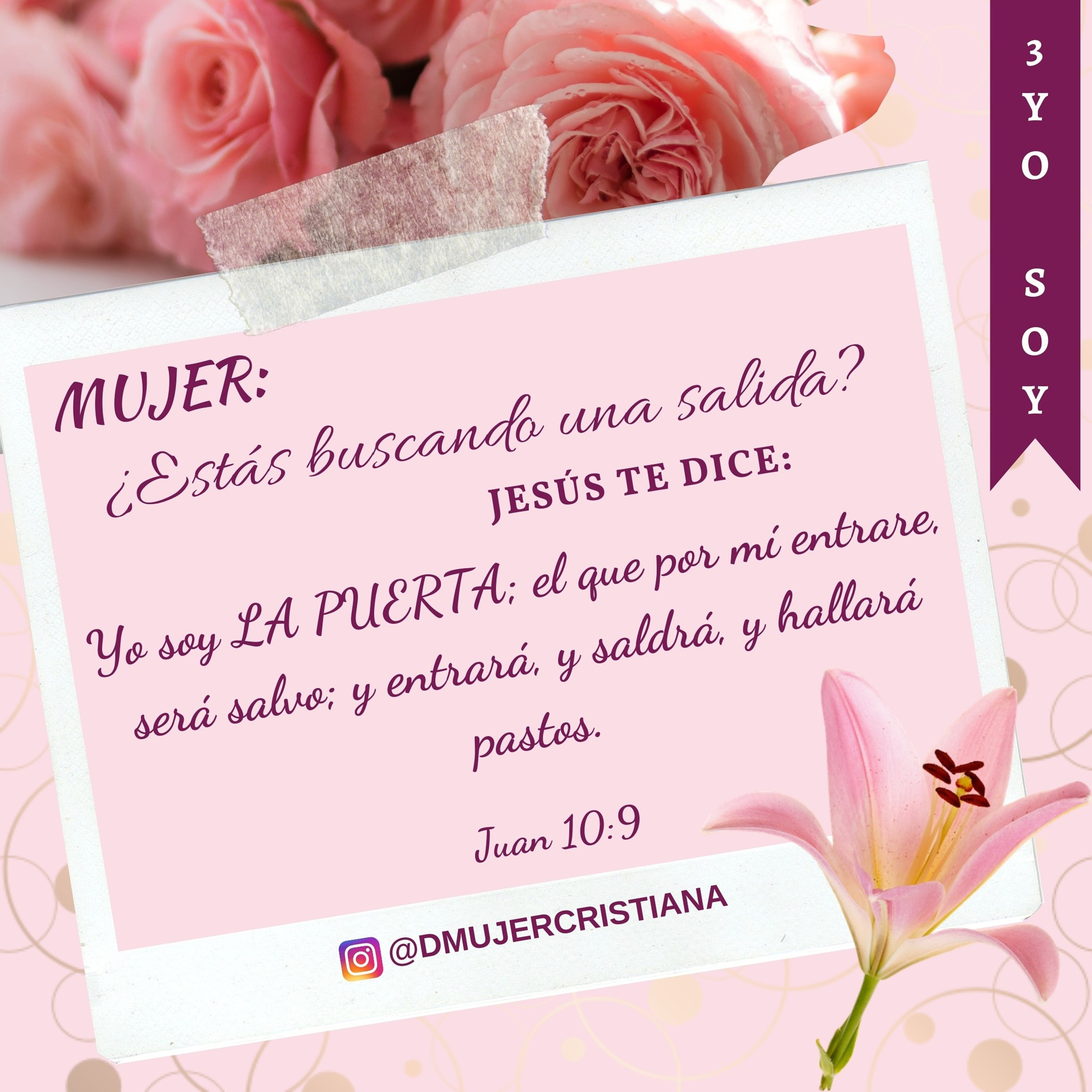 Portada de Diario De Una Mujer Cristiana