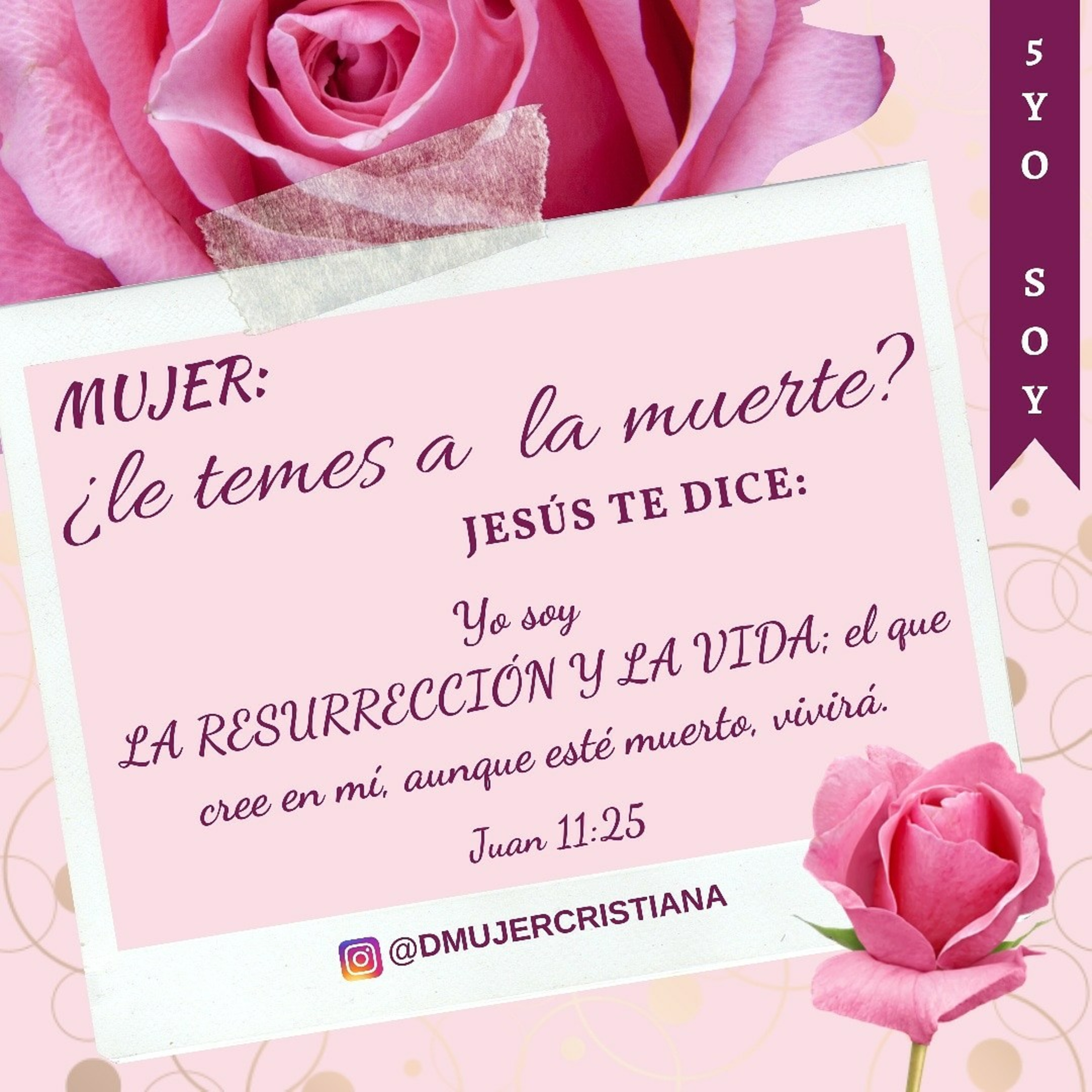 Portada de Diario De Una Mujer Cristiana