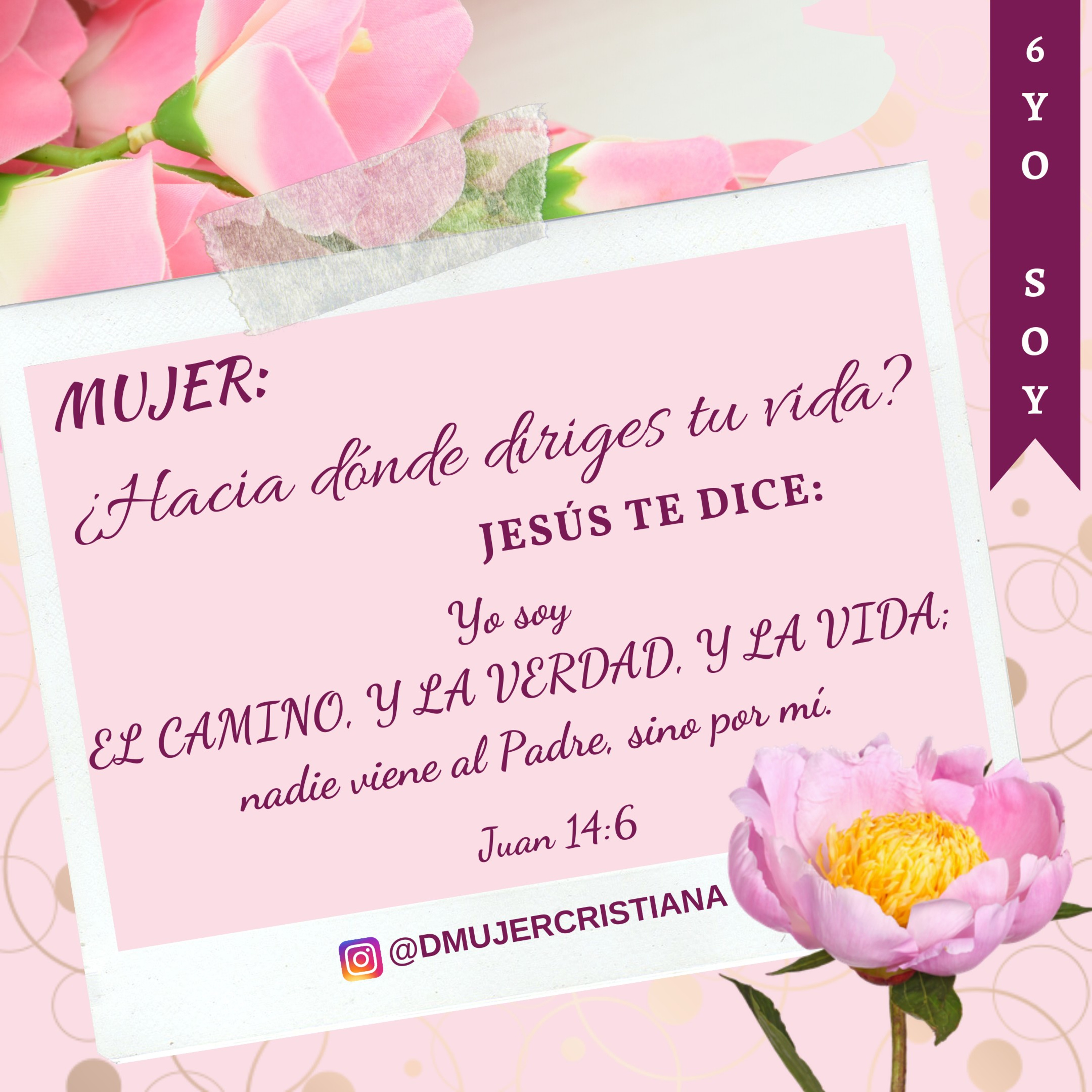 Portada de Diario De Una Mujer Cristiana