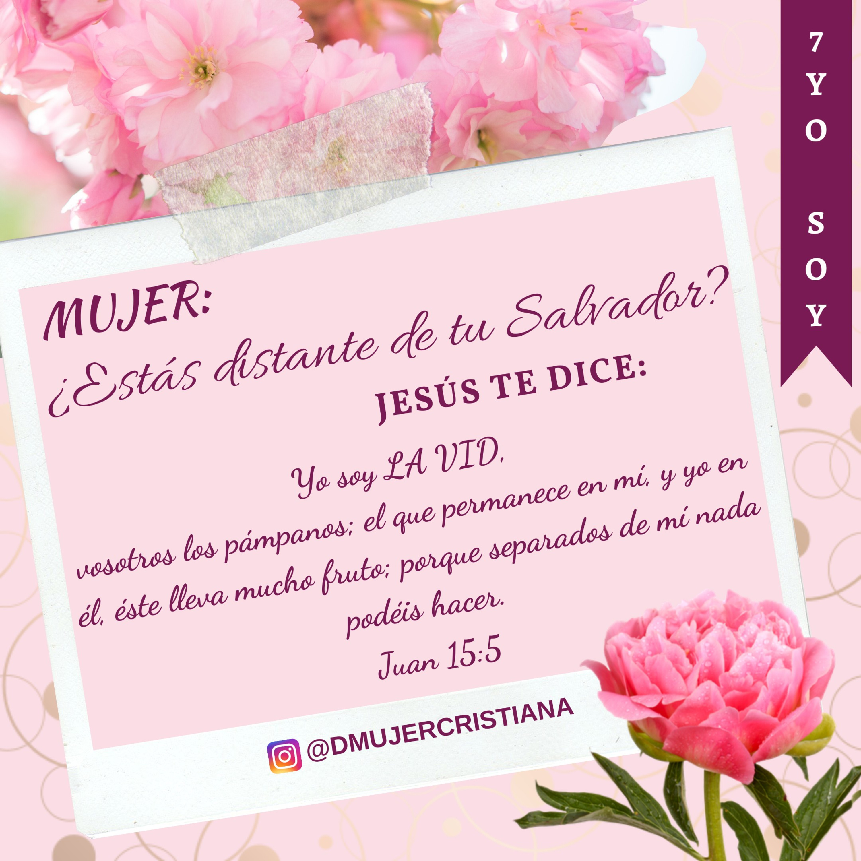 Portada de Diario De Una Mujer Cristiana