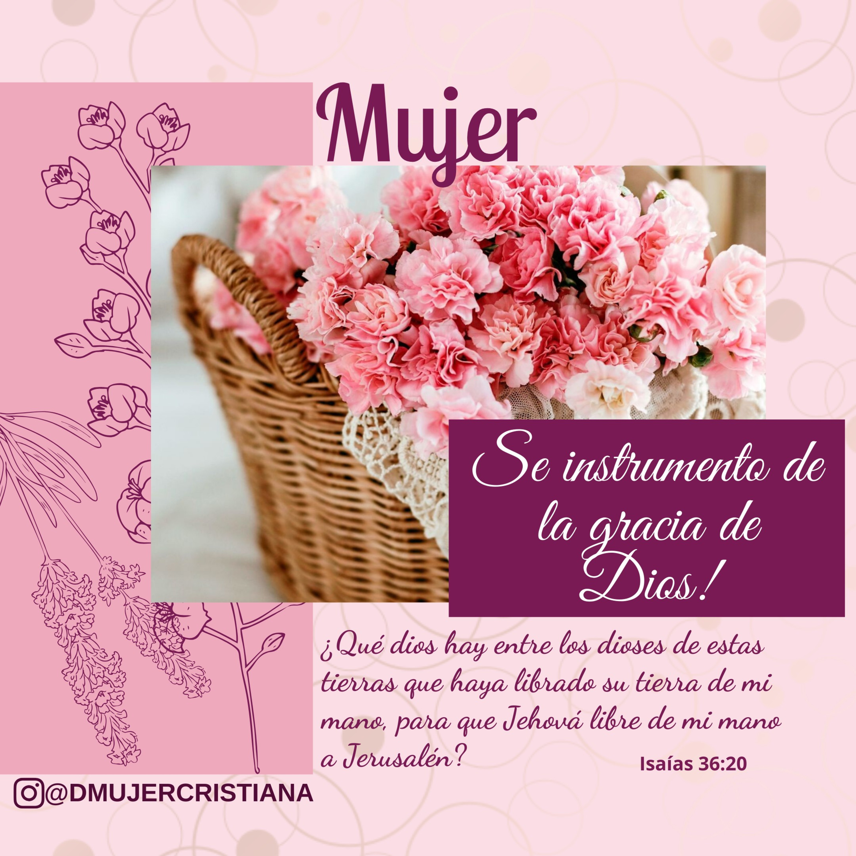 Portada de Diario De Una Mujer Cristiana