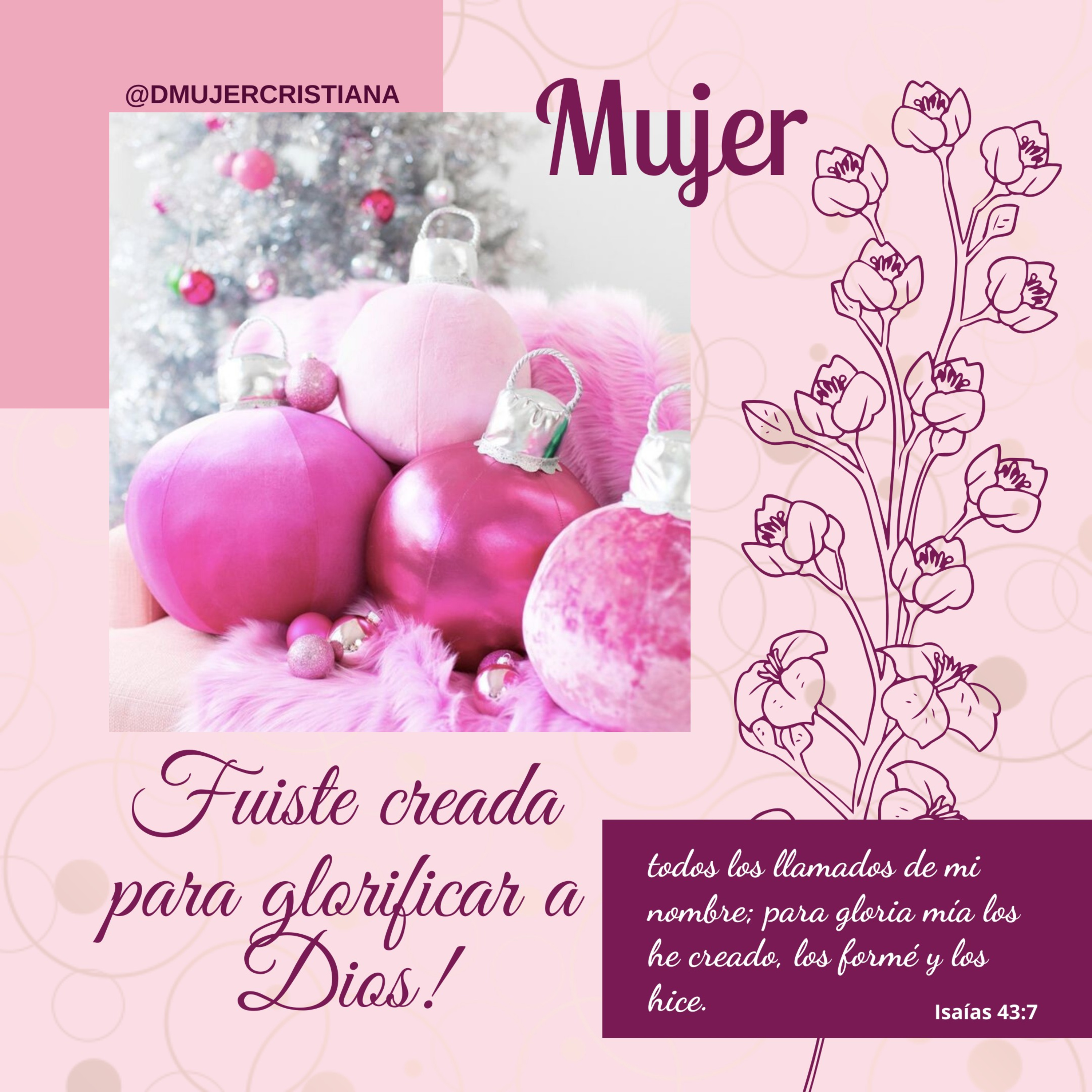 Portada de Diario De Una Mujer Cristiana