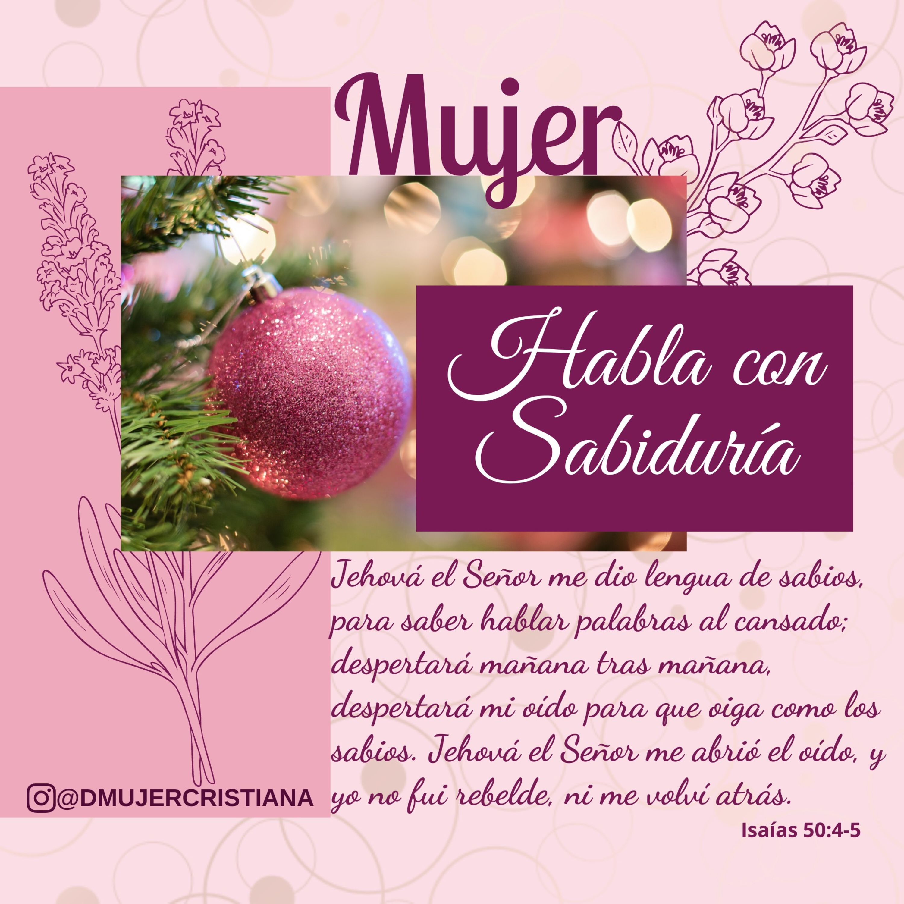 Portada de Diario De Una Mujer Cristiana