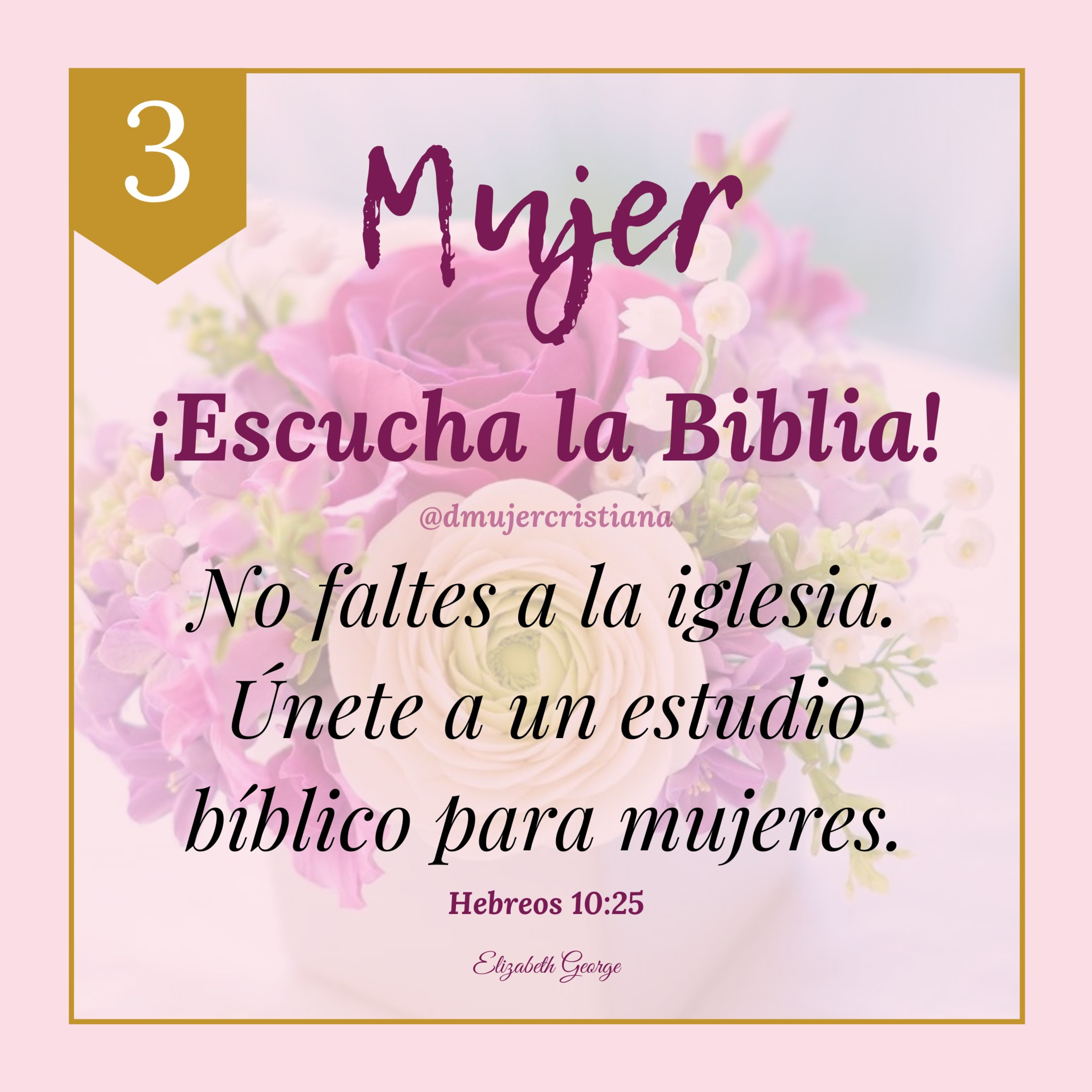 Portada de Diario De Una Mujer Cristiana