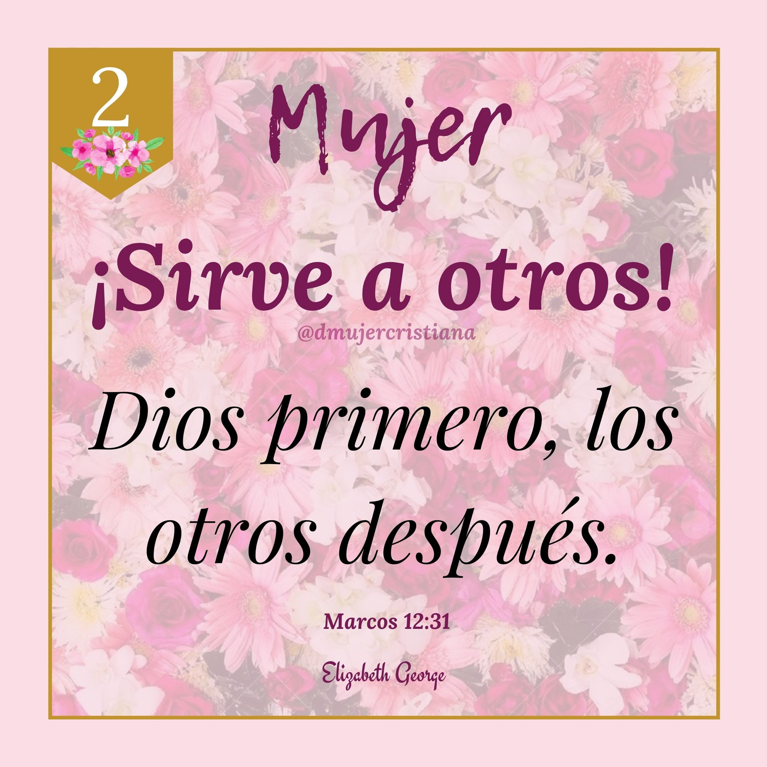 Portada de Diario De Una Mujer Cristiana