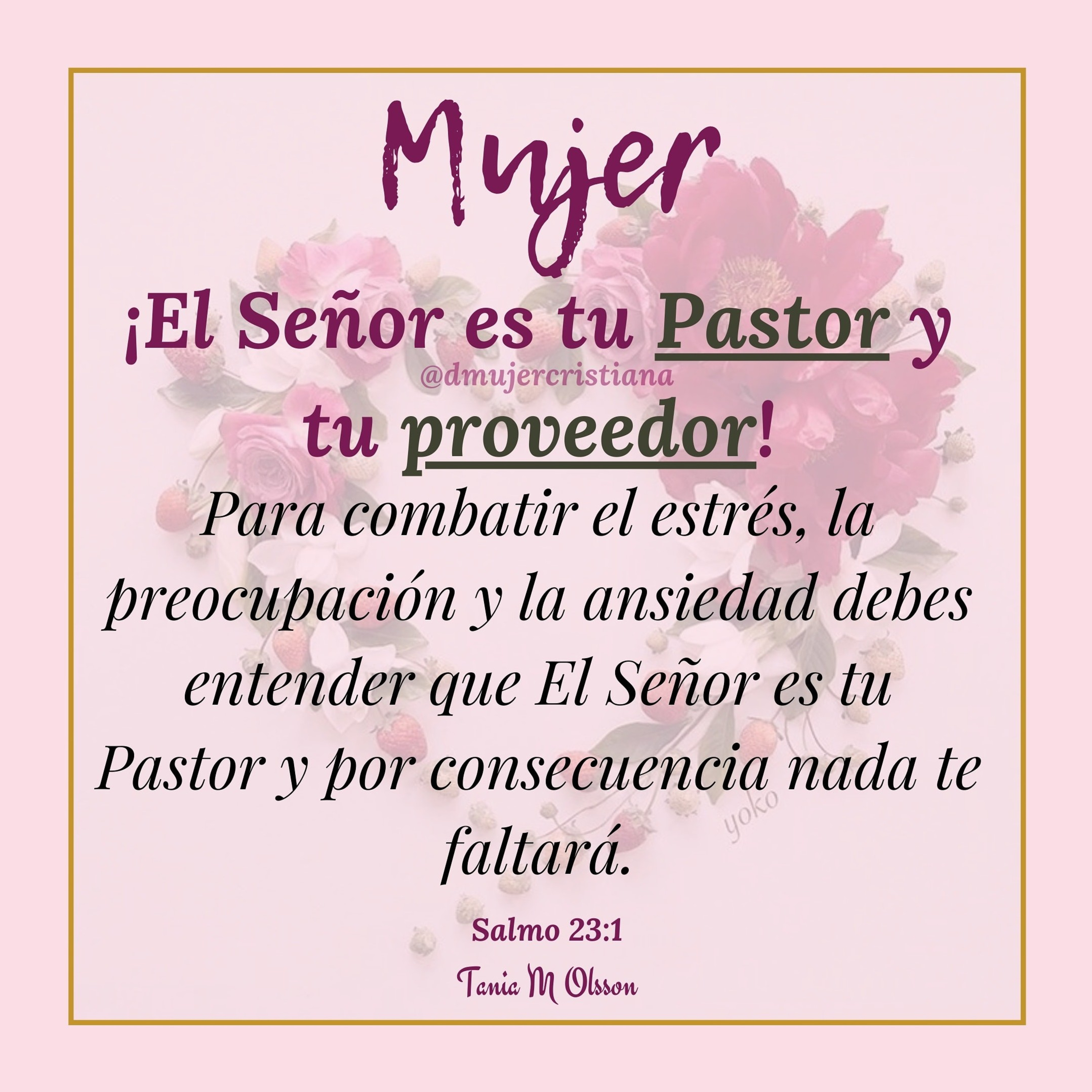 Portada de Diario De Una Mujer Cristiana