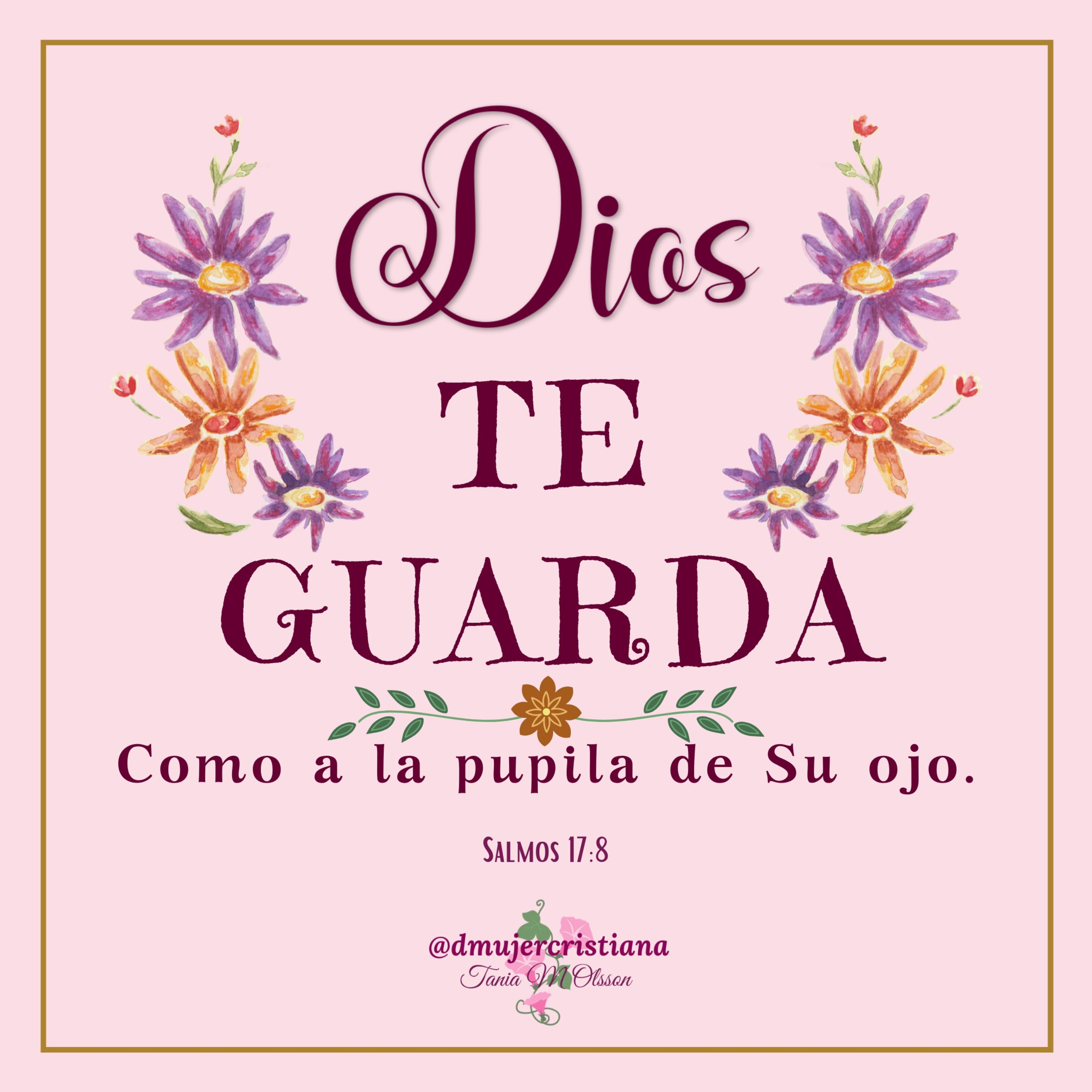 Portada de Diario De Una Mujer Cristiana