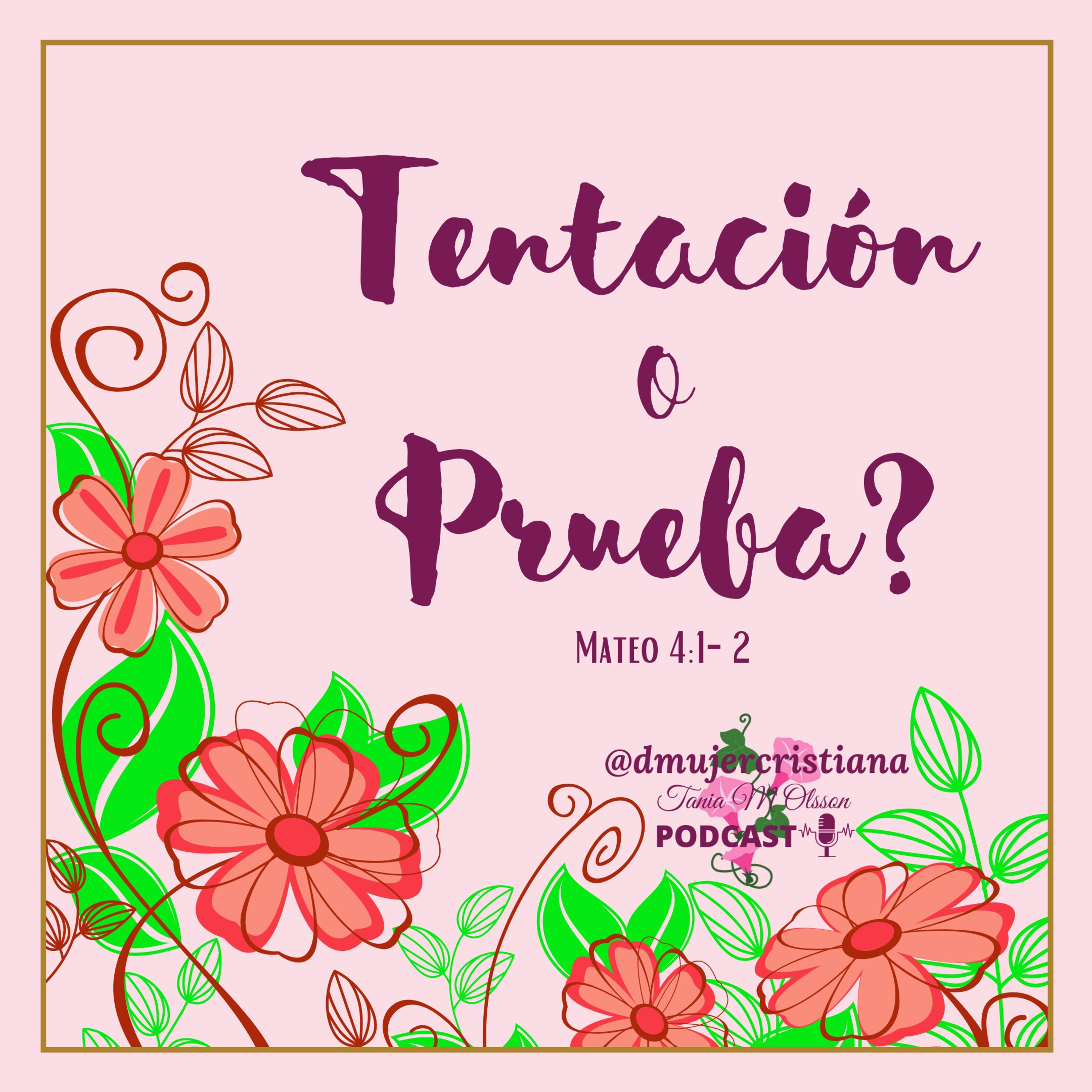 Portada de Diario De Una Mujer Cristiana