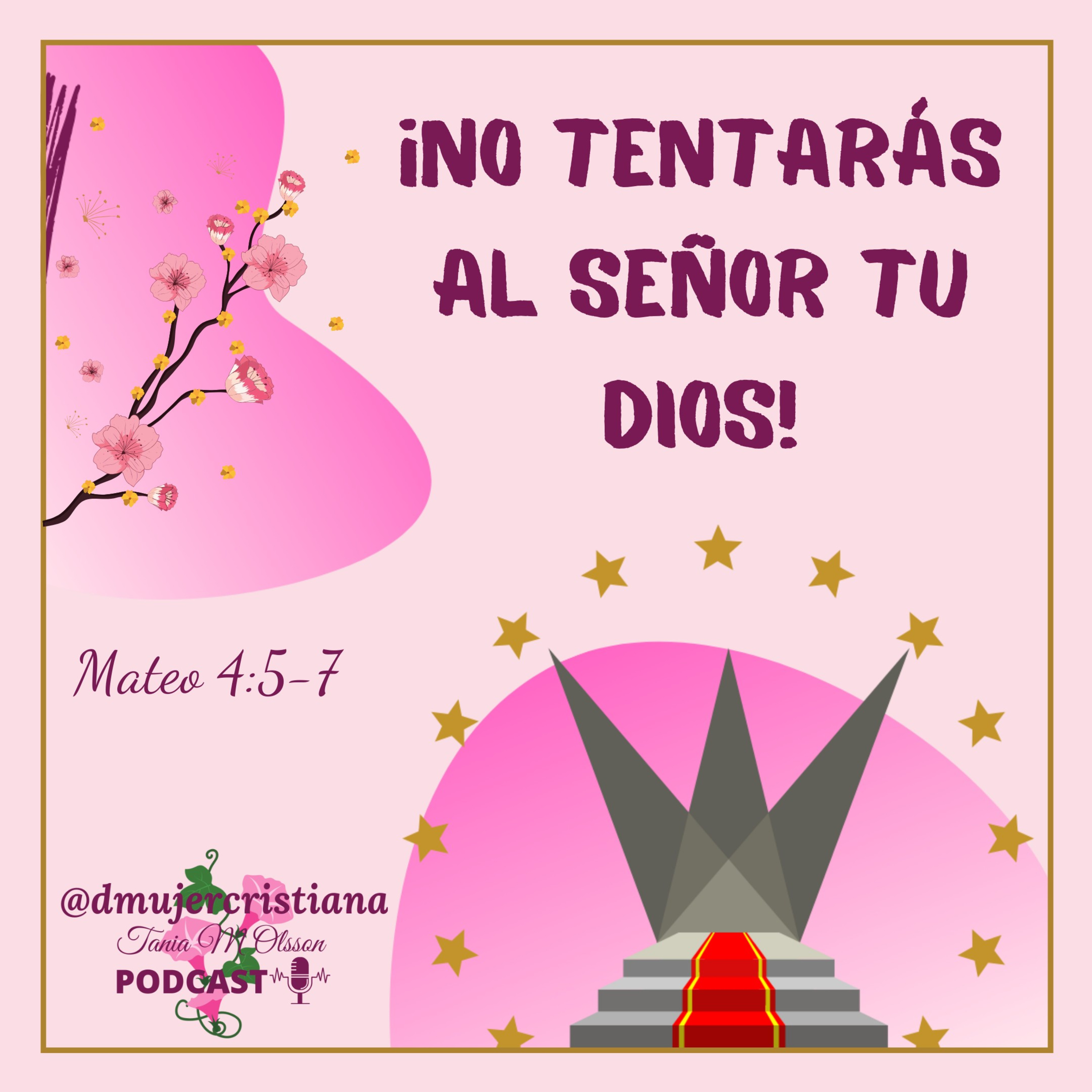 Portada de Diario De Una Mujer Cristiana