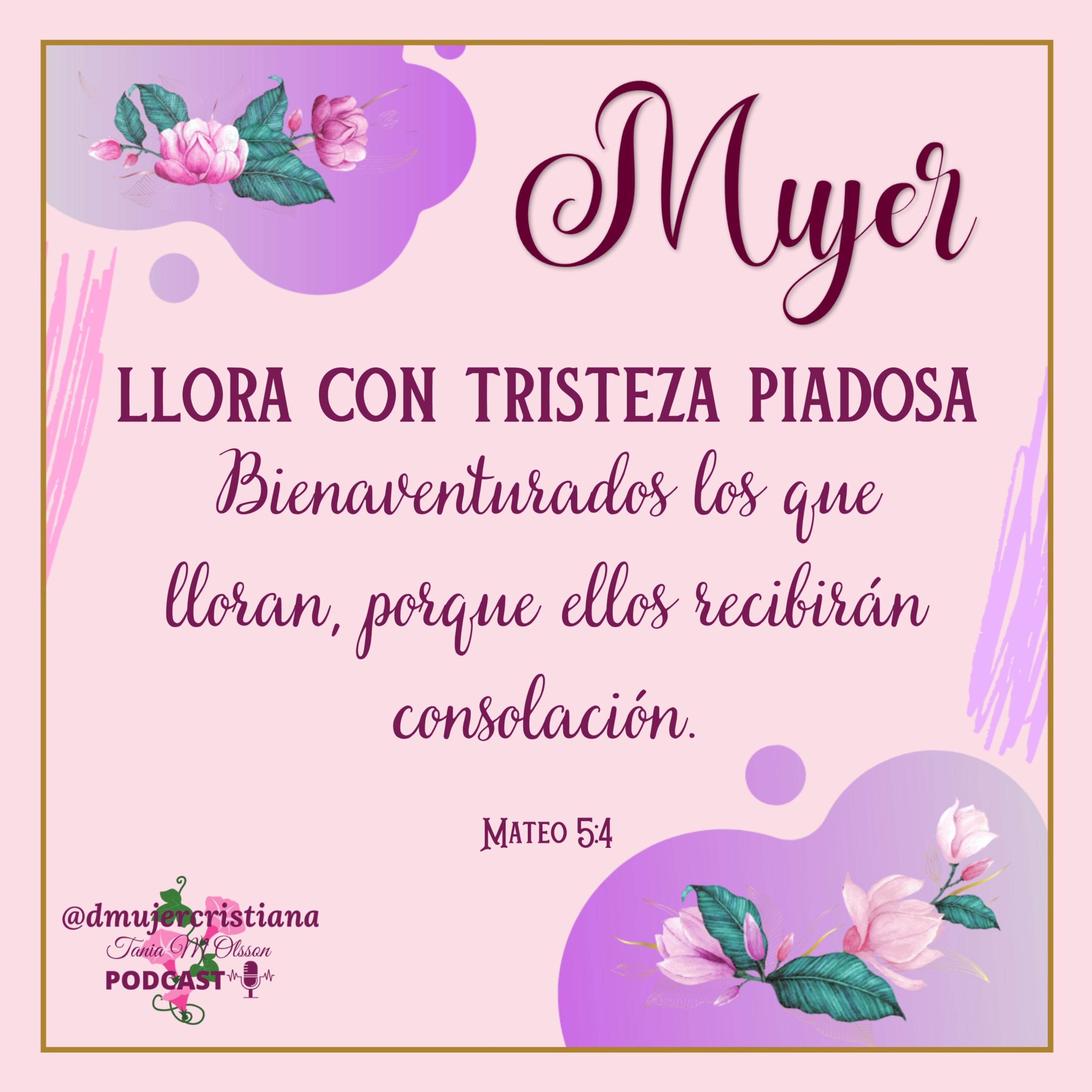 Portada de Diario De Una Mujer Cristiana