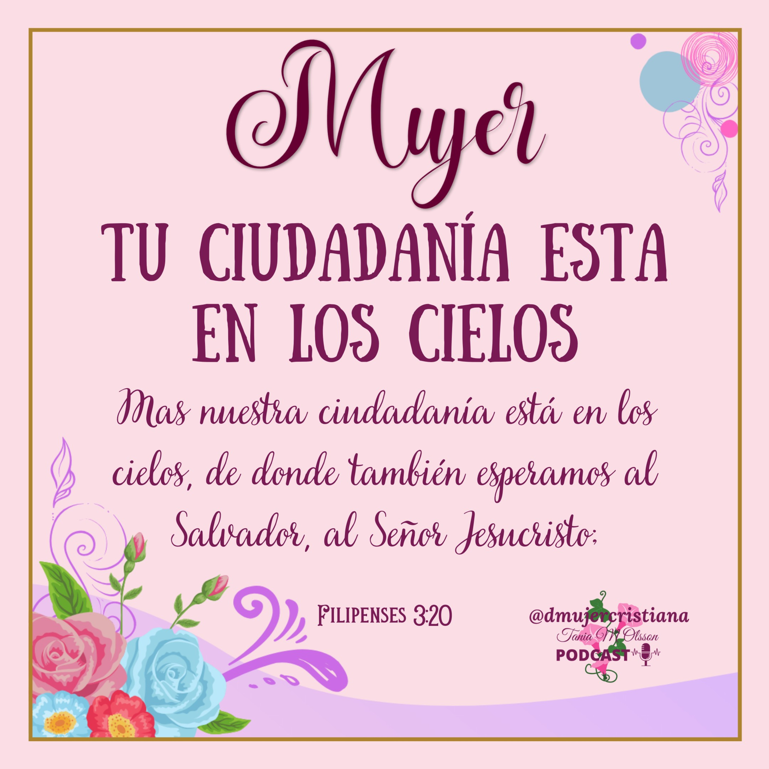 Portada de Diario De Una Mujer Cristiana