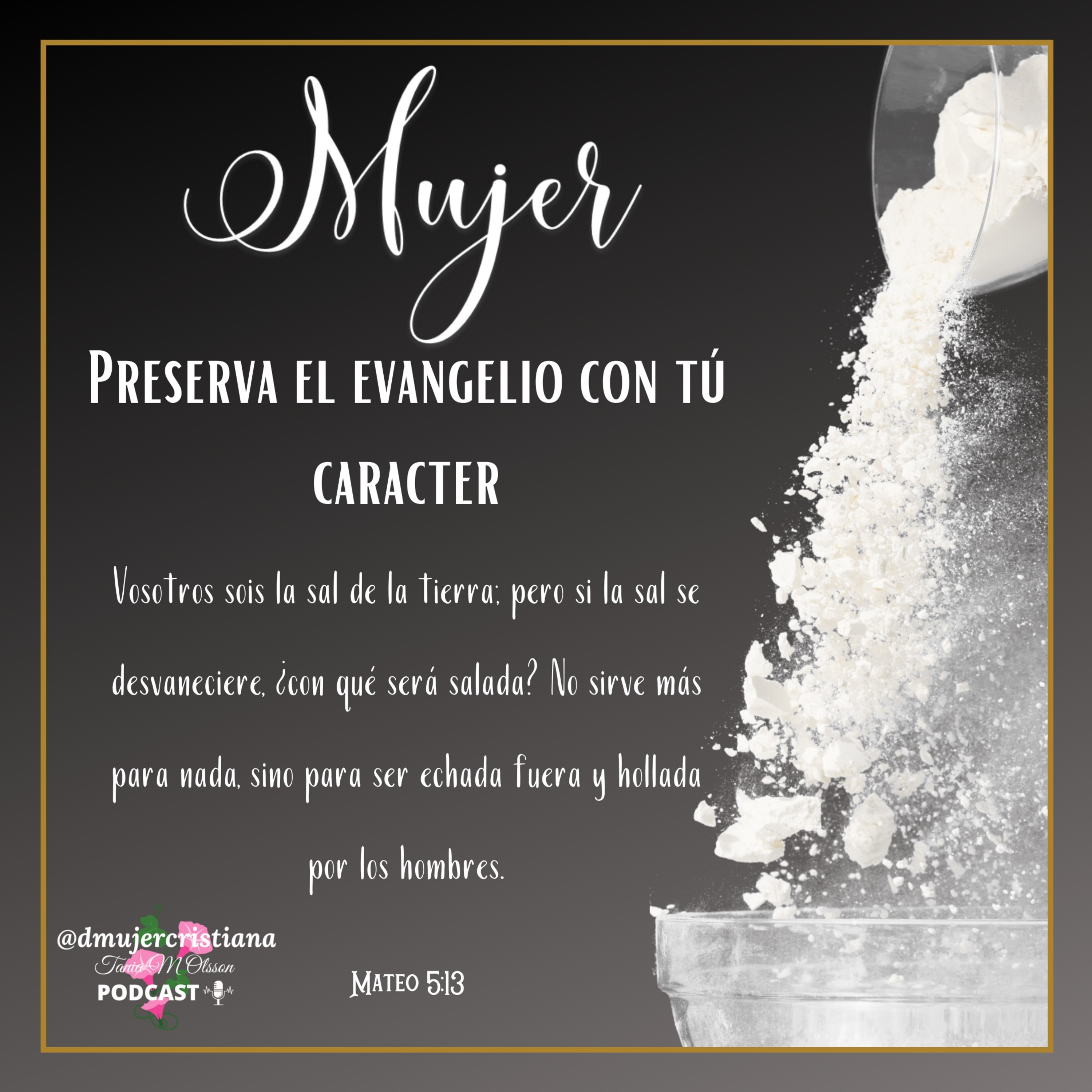 Portada de Diario De Una Mujer Cristiana