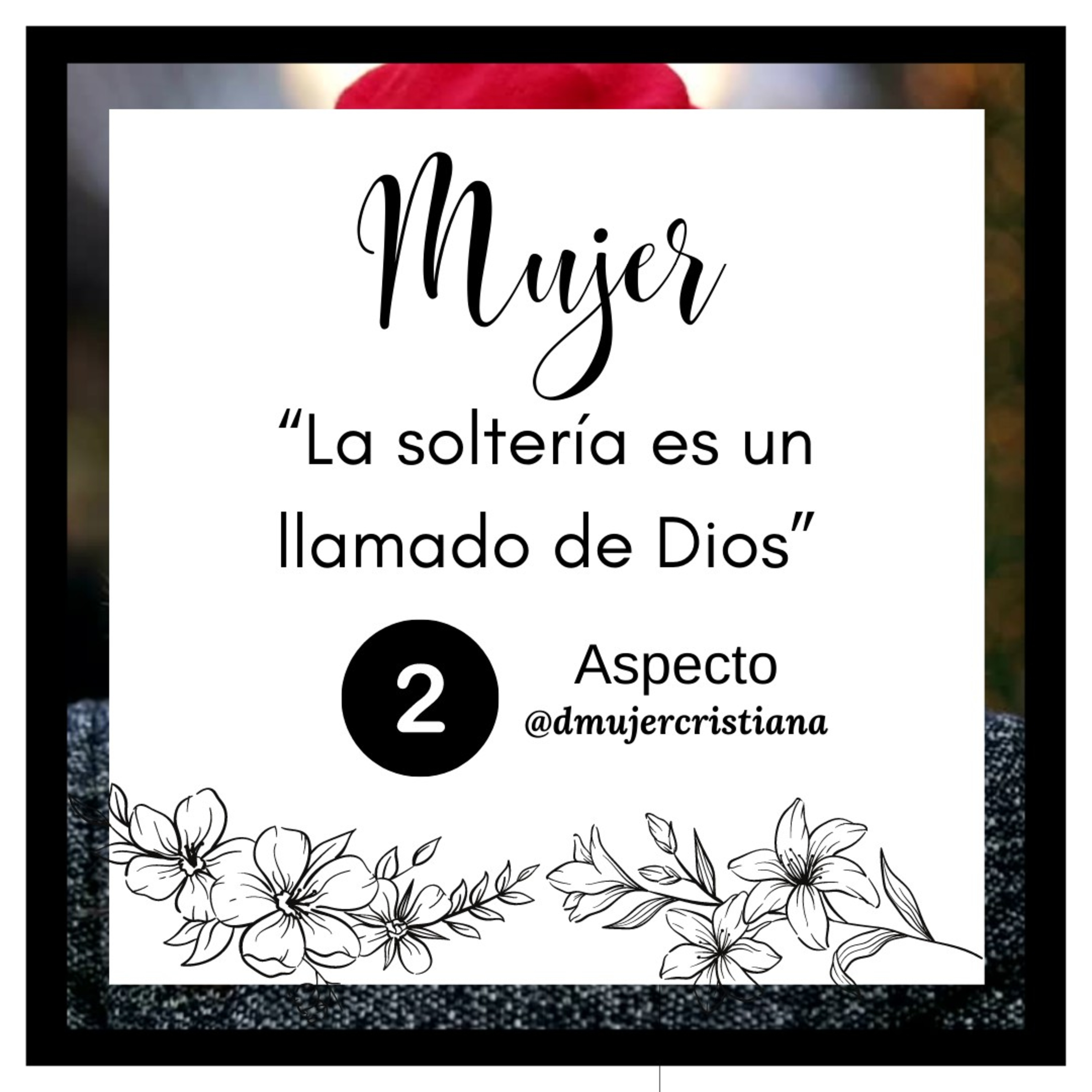Portada de Diario De Una Mujer Cristiana