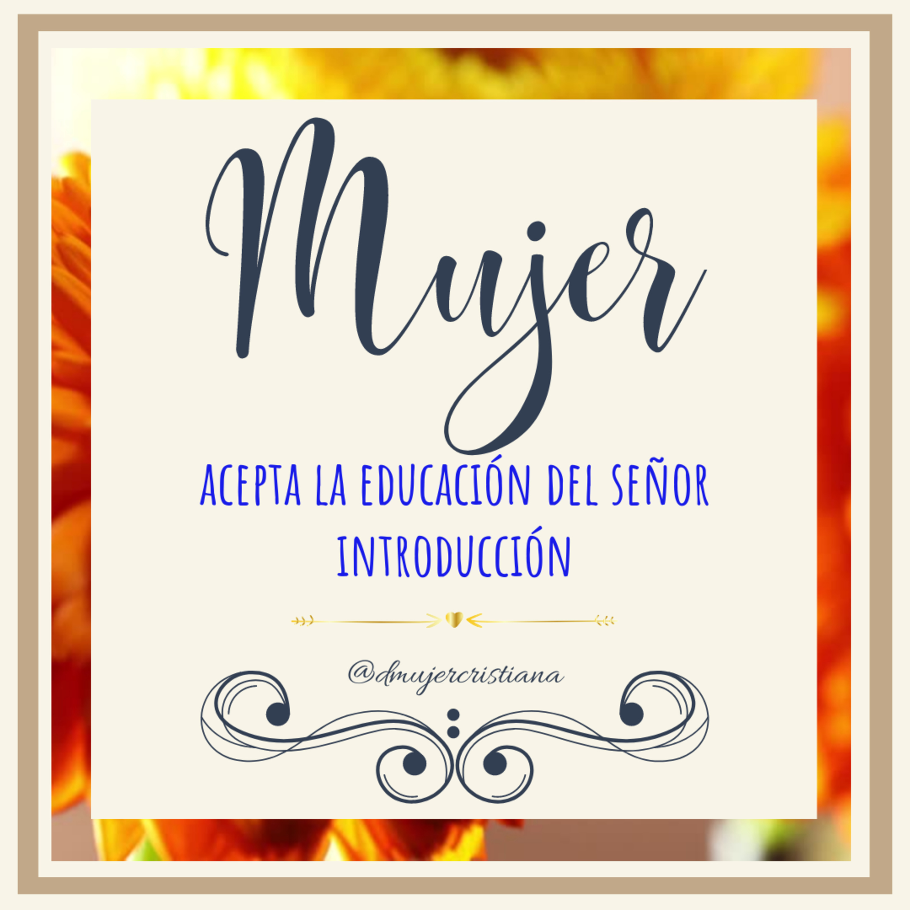 Portada de Diario De Una Mujer Cristiana