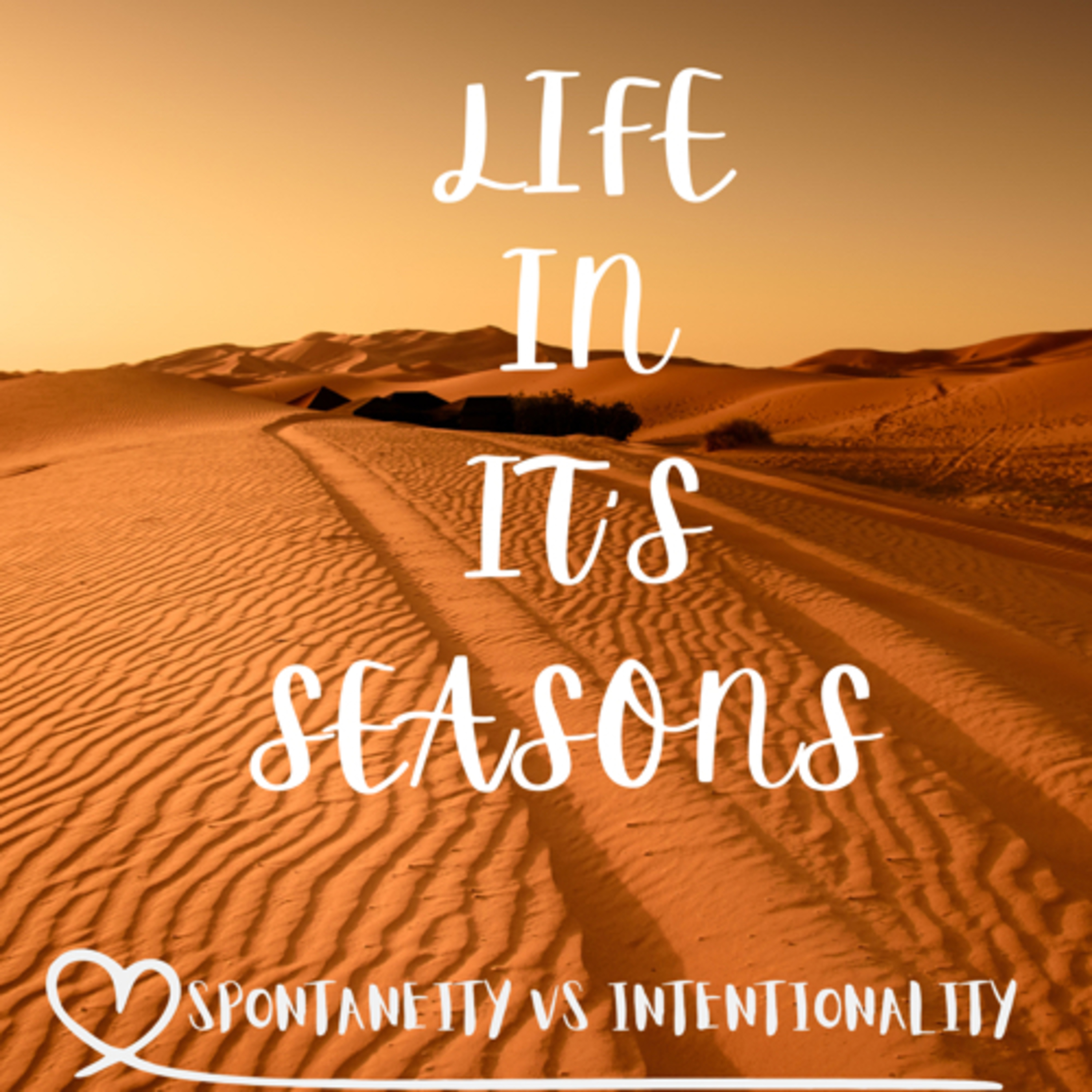 Spontaneity vs intentionality  episode artwork