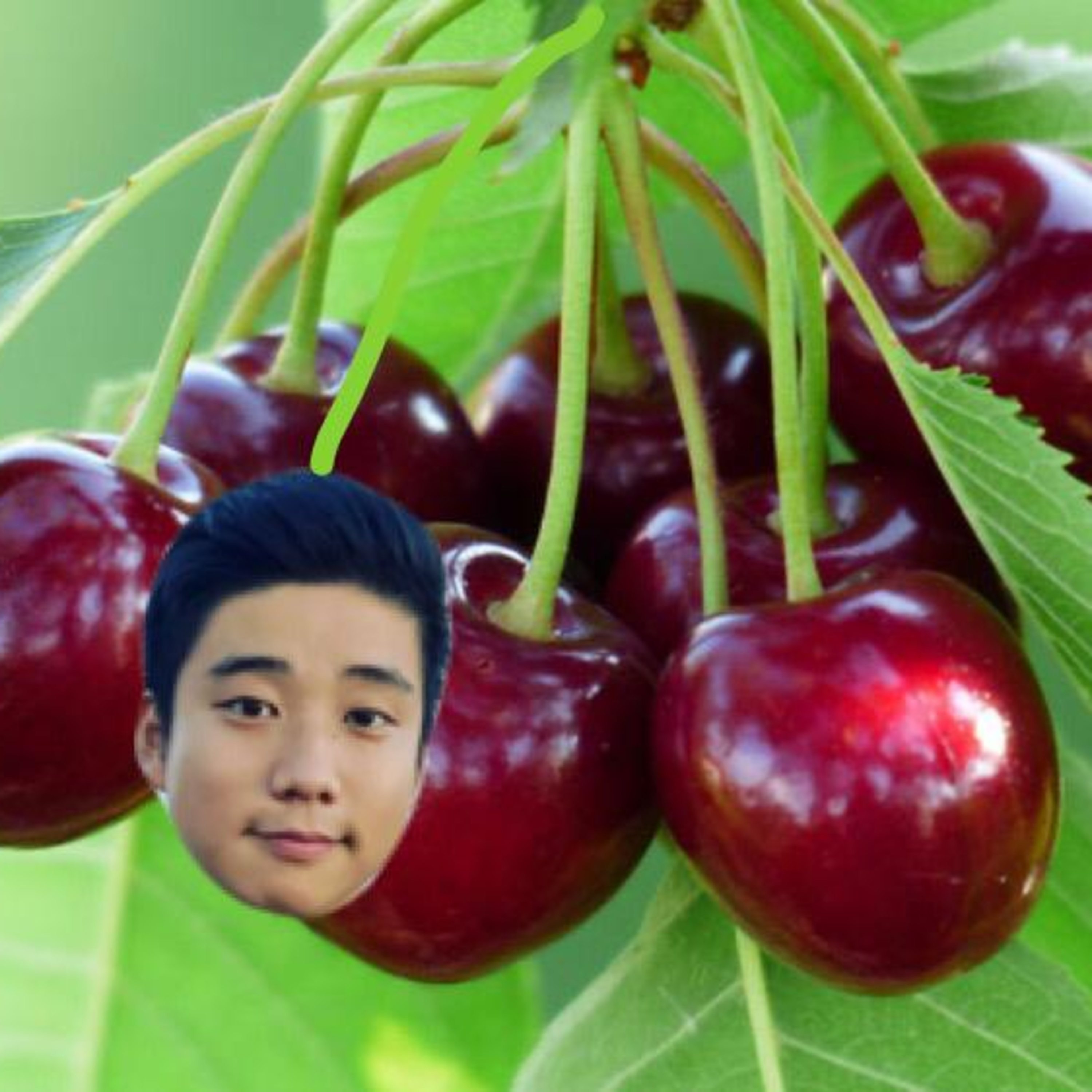 Ichiban der Podcast OmU