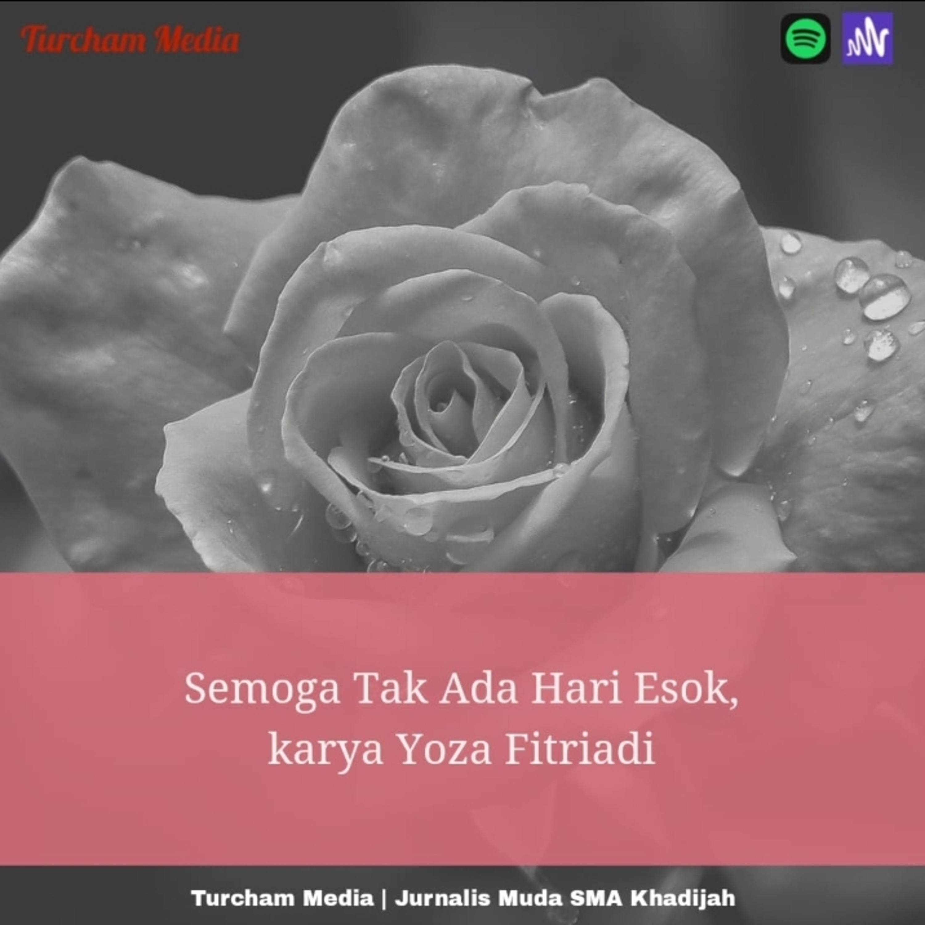 Turcham Media