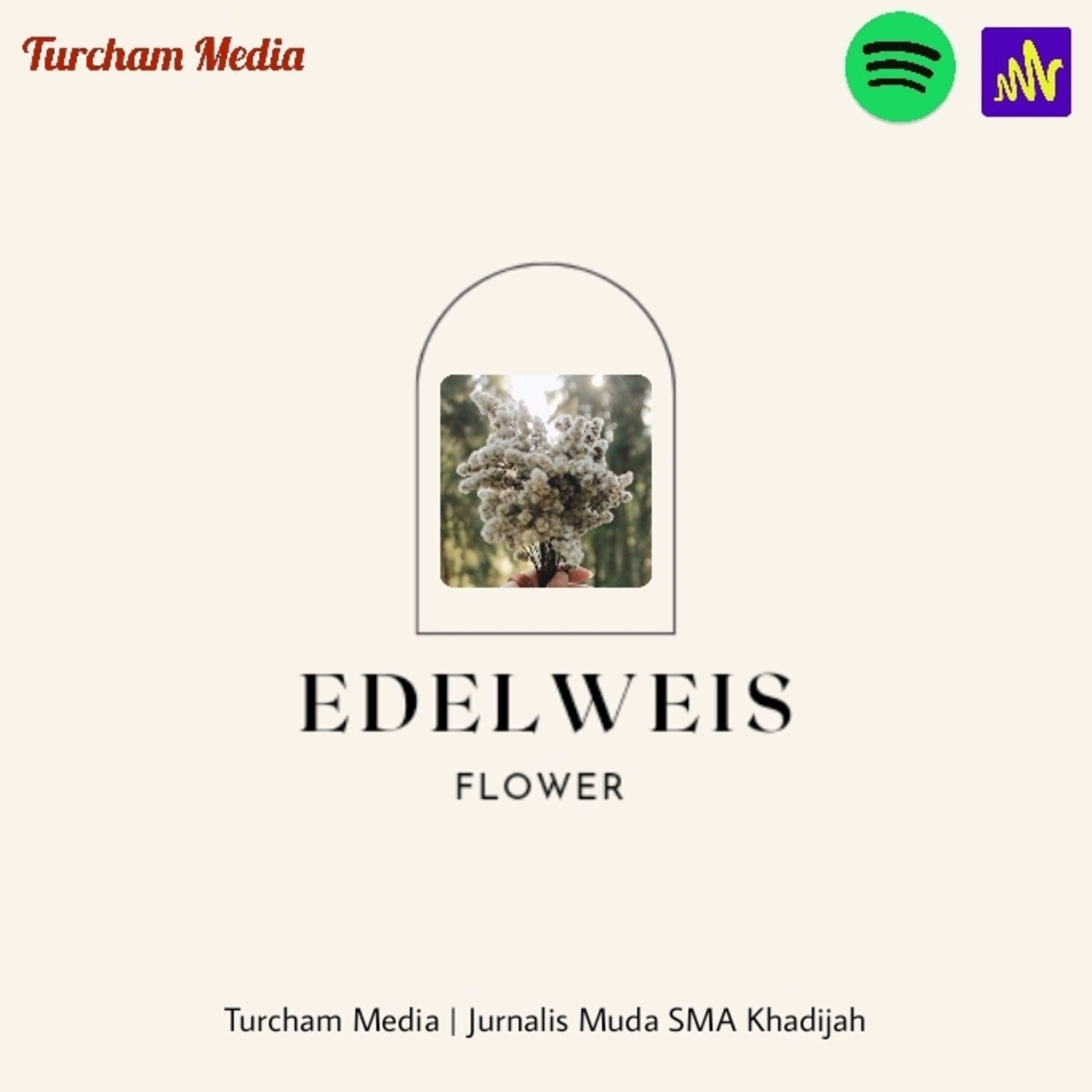 Turcham Media