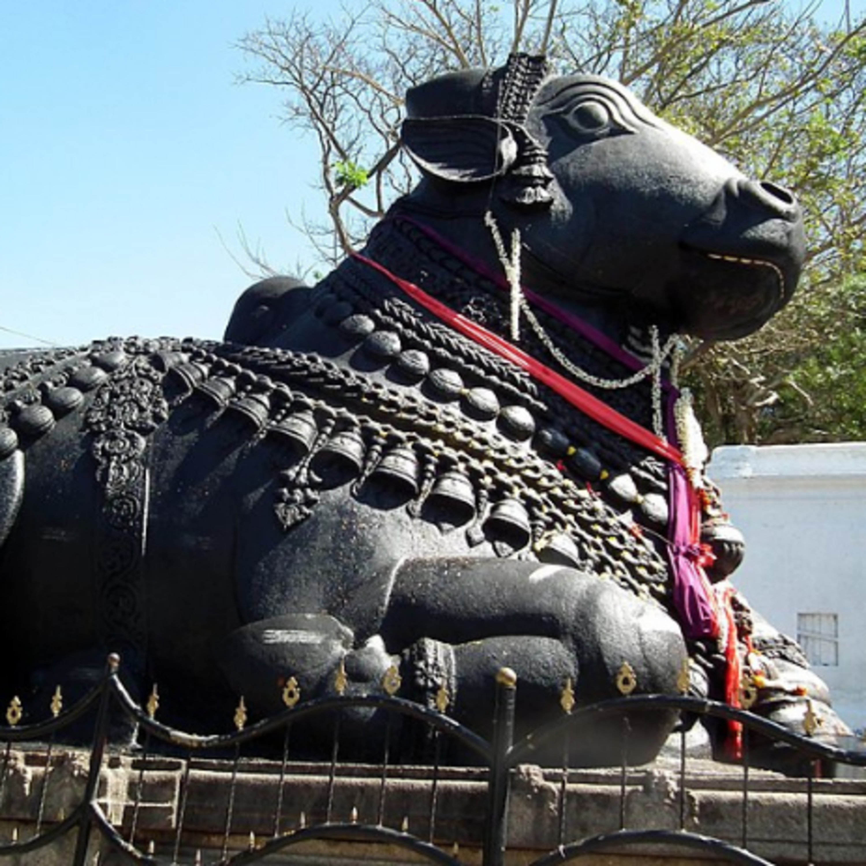Stories From India