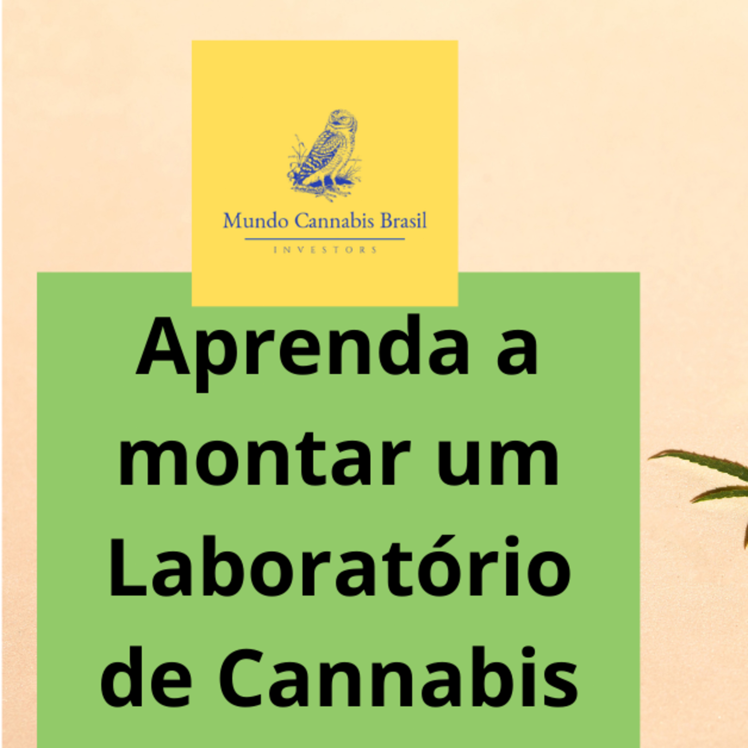Mundo Cannabis Brasil