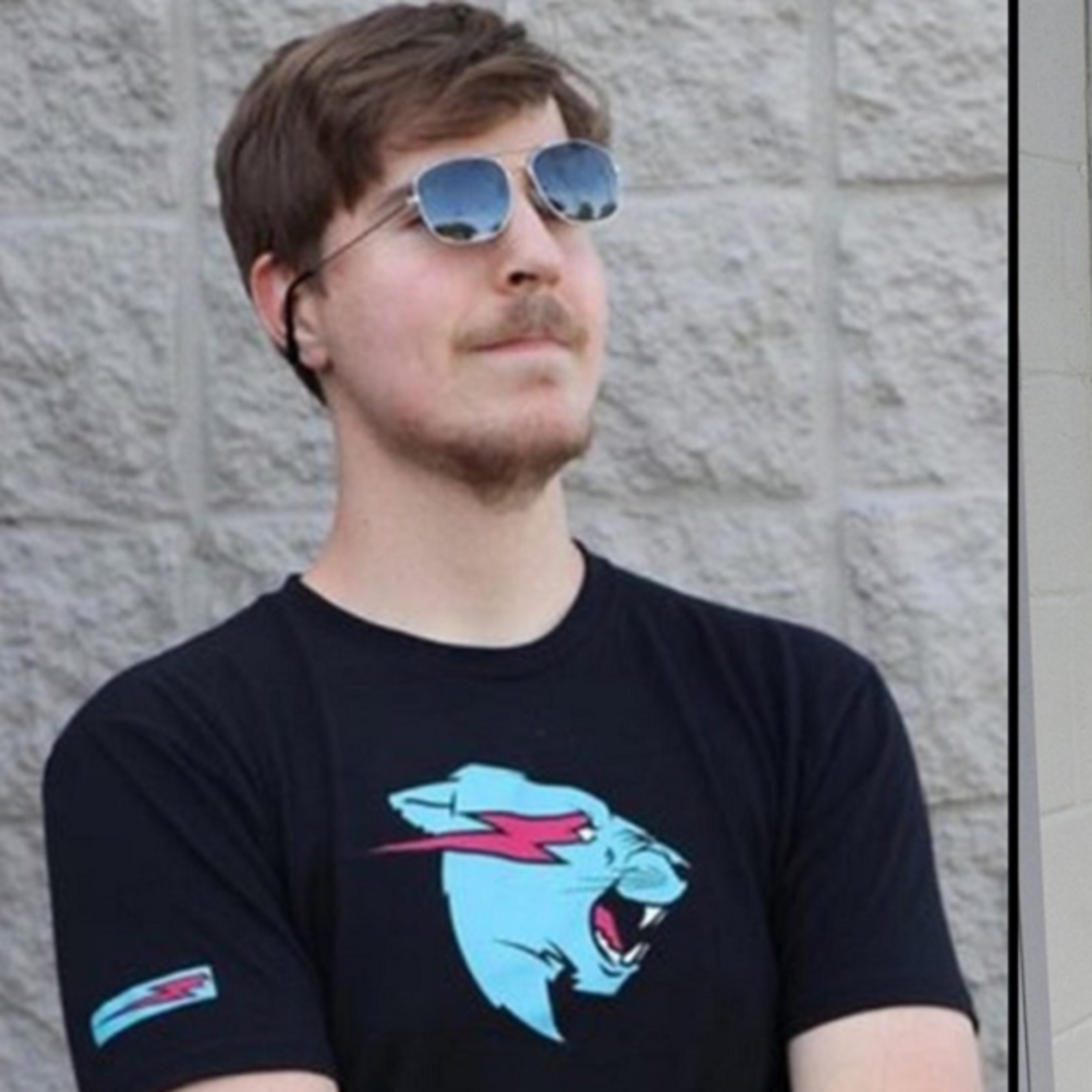 check out Mr Beast episode artwork